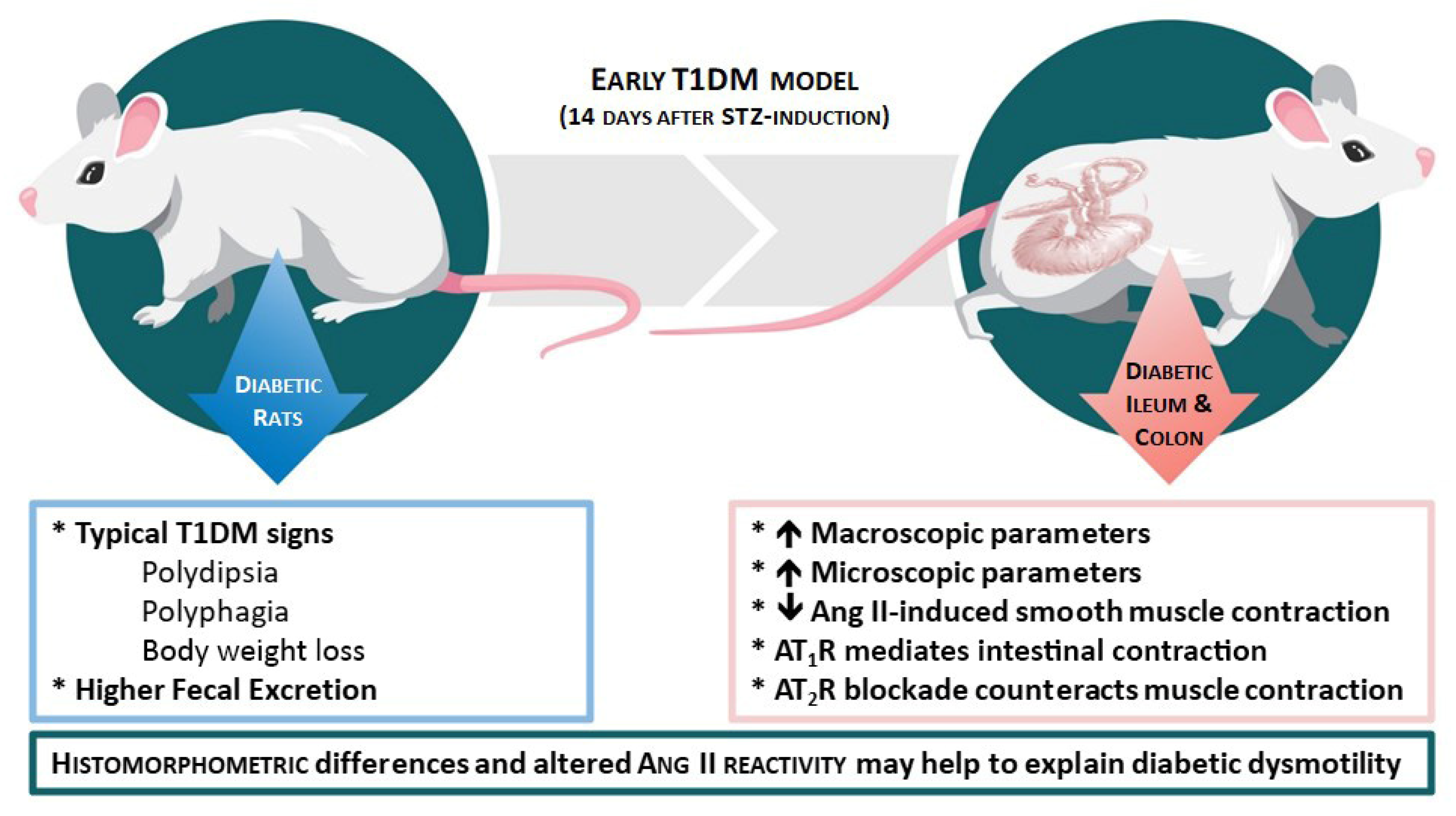 Ijms 23 13233 g009 Ijms 23 13233 g009