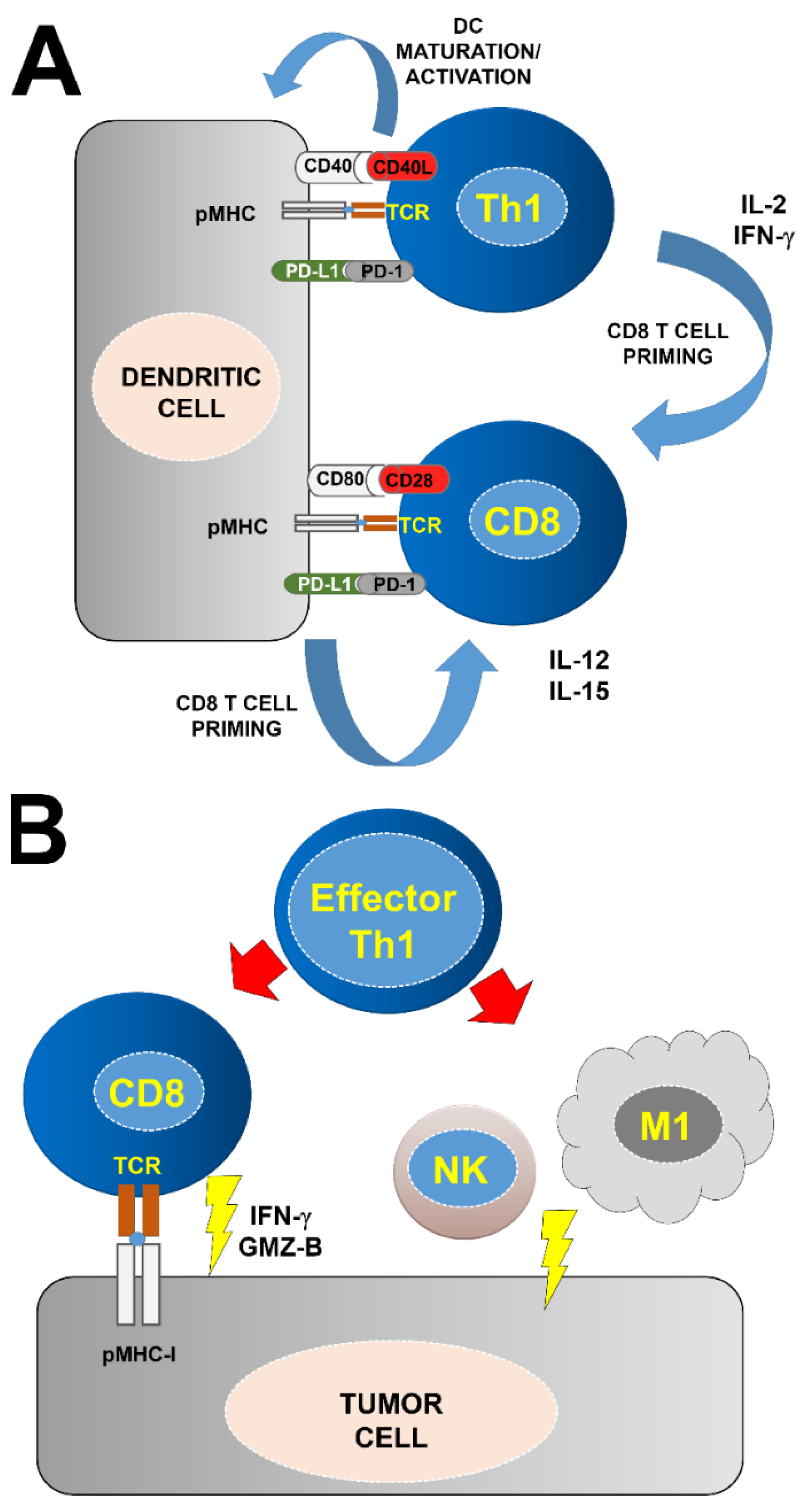 Ijms 23 13241 g003 Ijms 23 13241 g003
