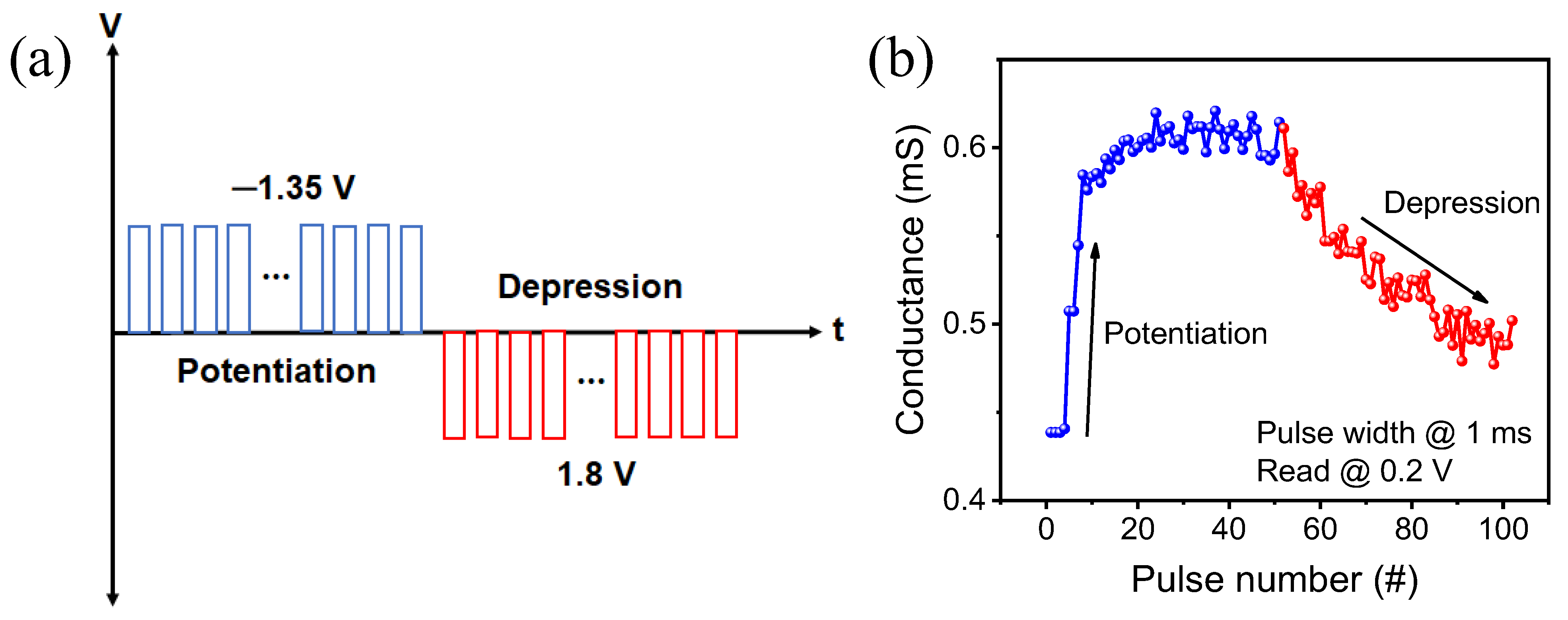 Ijms 23 13249 g007 Ijms 23 13249 g007