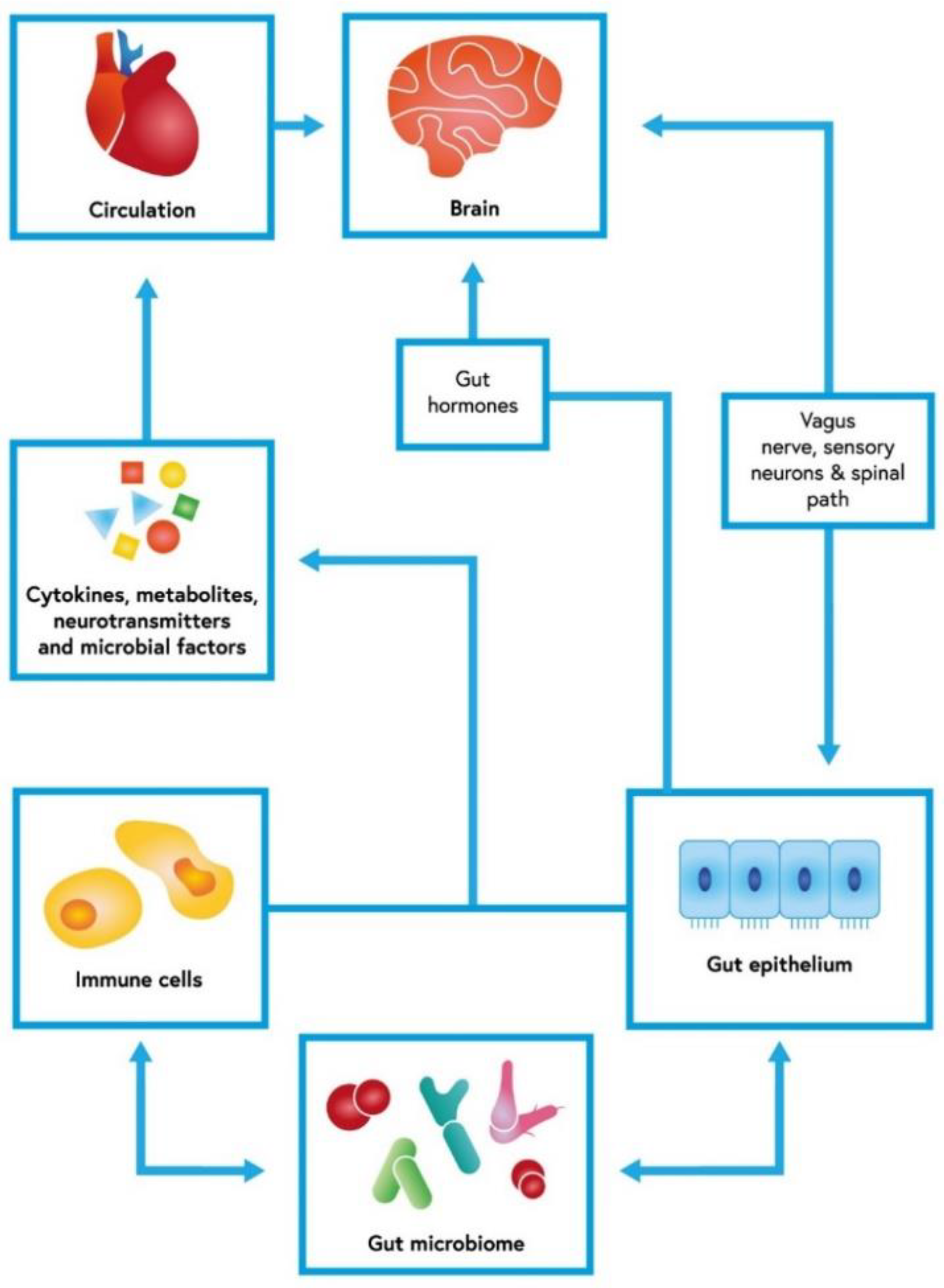 Ijms 23 13267 g001 Ijms 23 13267 g001