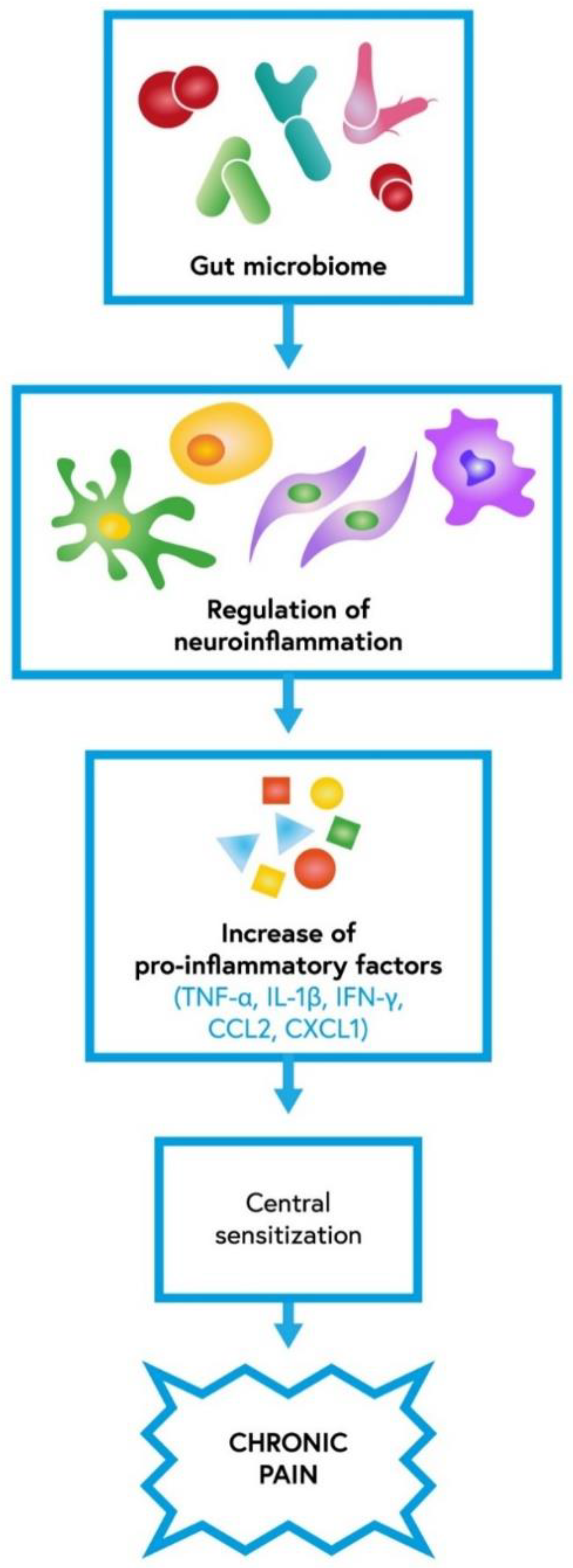 Ijms 23 13267 g002 Ijms 23 13267 g002