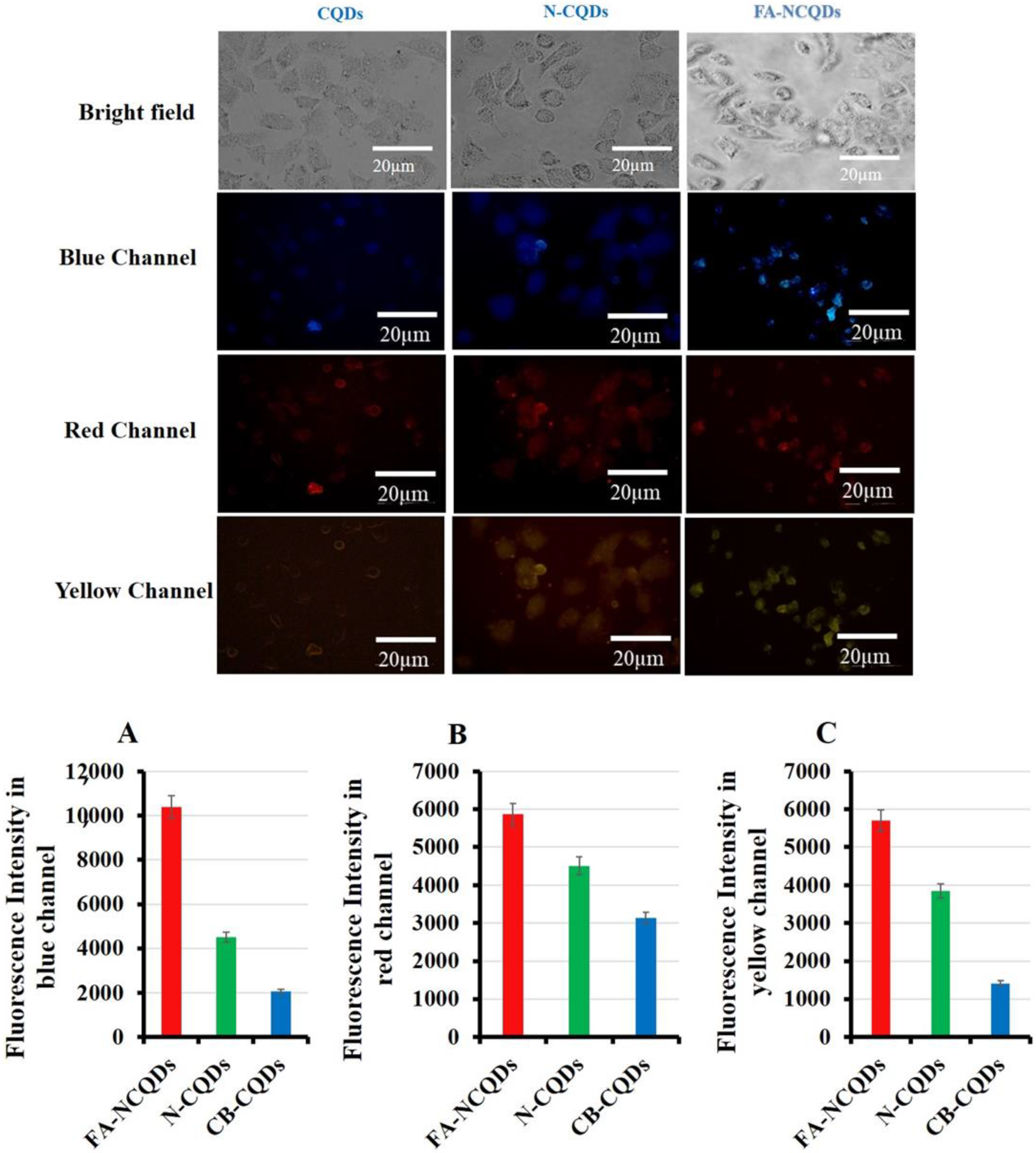 Ijms 23 13283 g008 Ijms 23 13283 g008