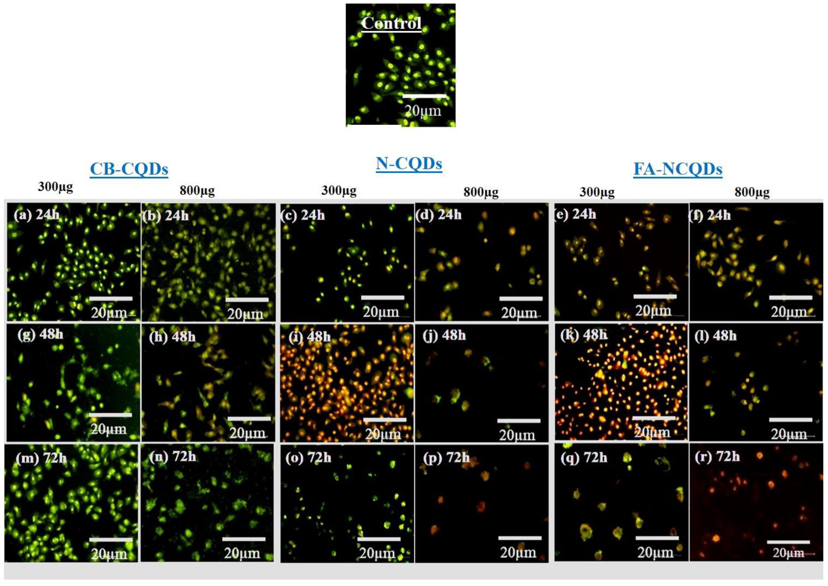 Ijms 23 13283 g009 Ijms 23 13283 g009