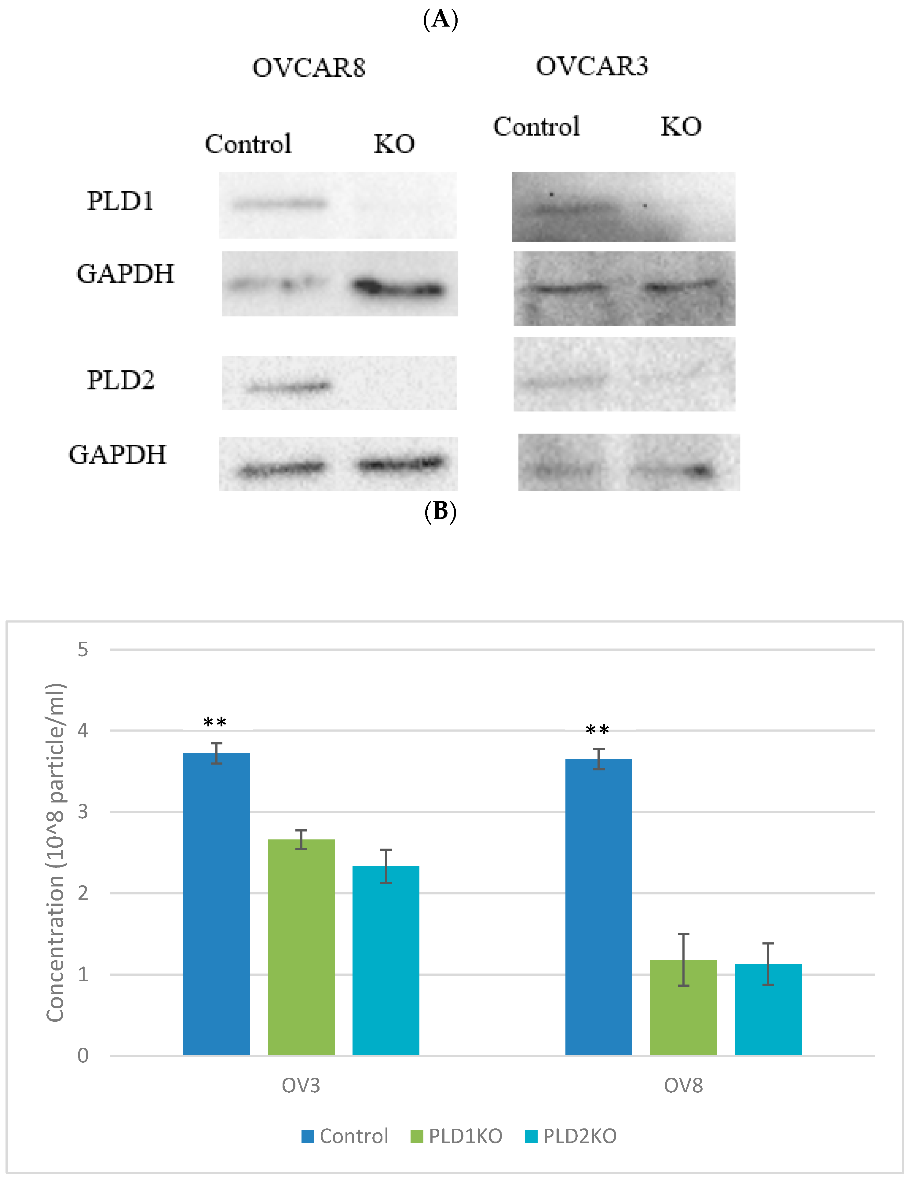 Ijms 23 13286 g001a Ijms 23 13286 g001a