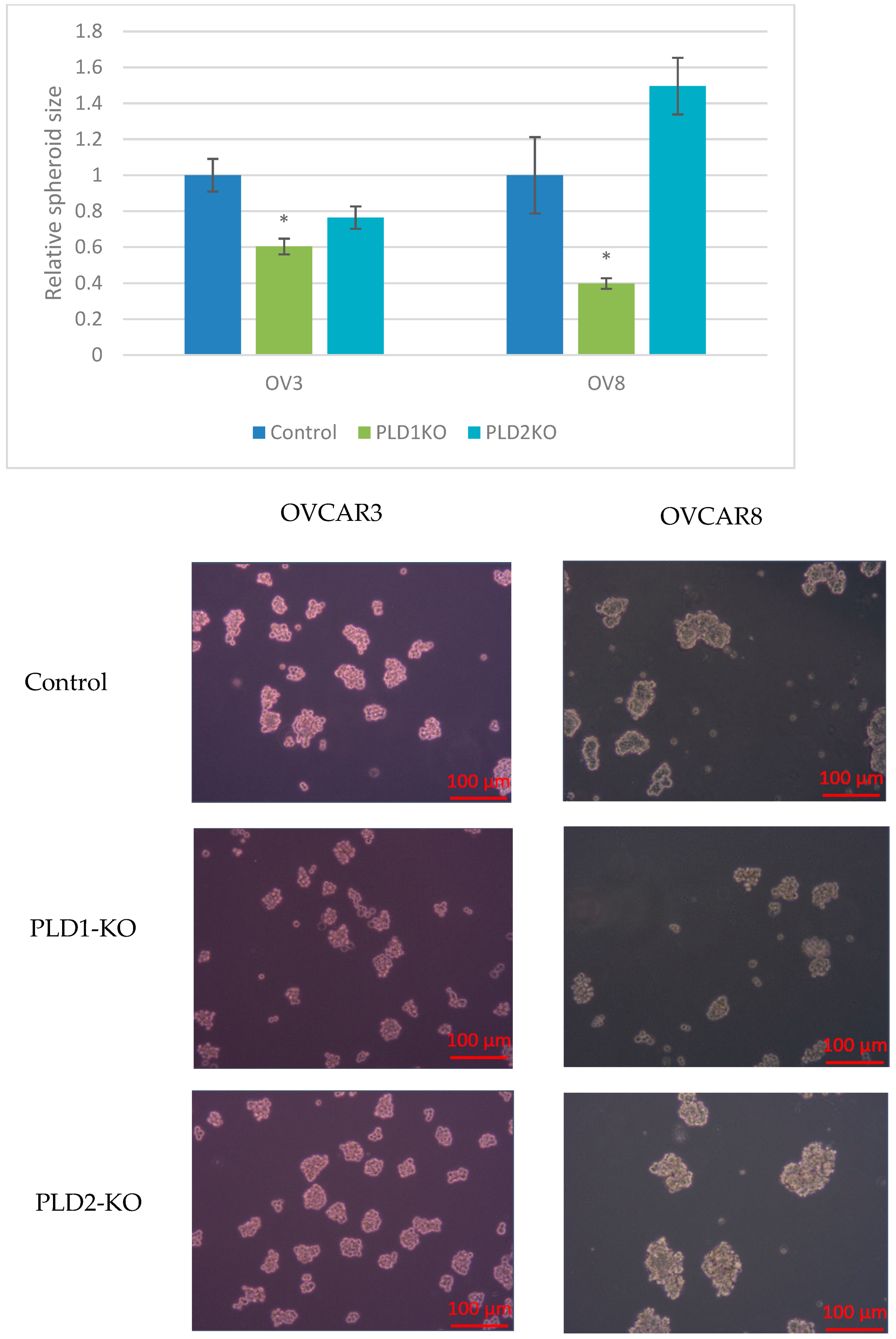 Ijms 23 13286 g007 Ijms 23 13286 g007