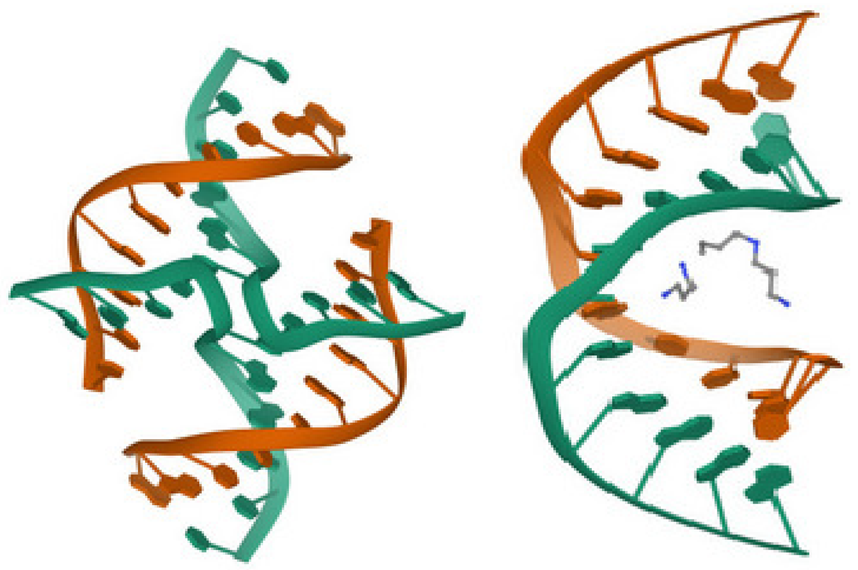 Ijms 23 13290 g005 Ijms 23 13290 g005