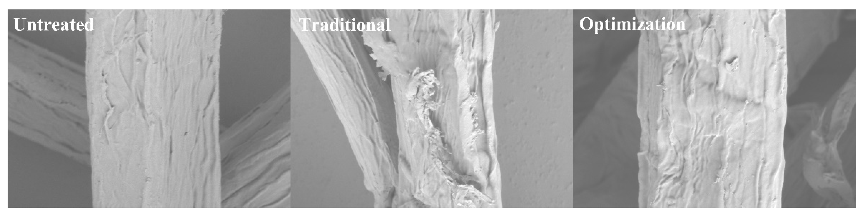 Ijms 23 13310 g005 Ijms 23 13310 g005