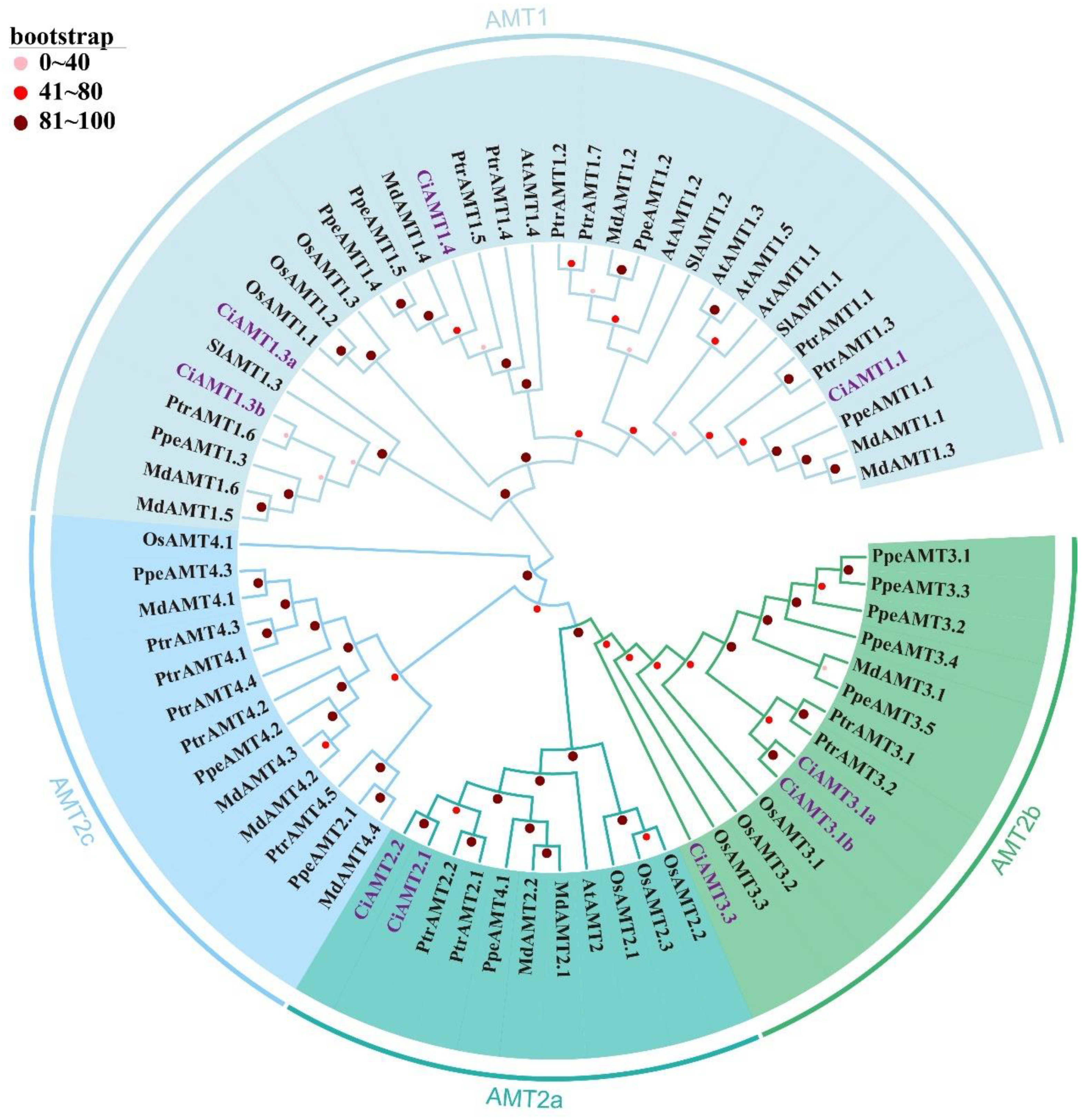 Ijms 23 13314 g001 Ijms 23 13314 g001