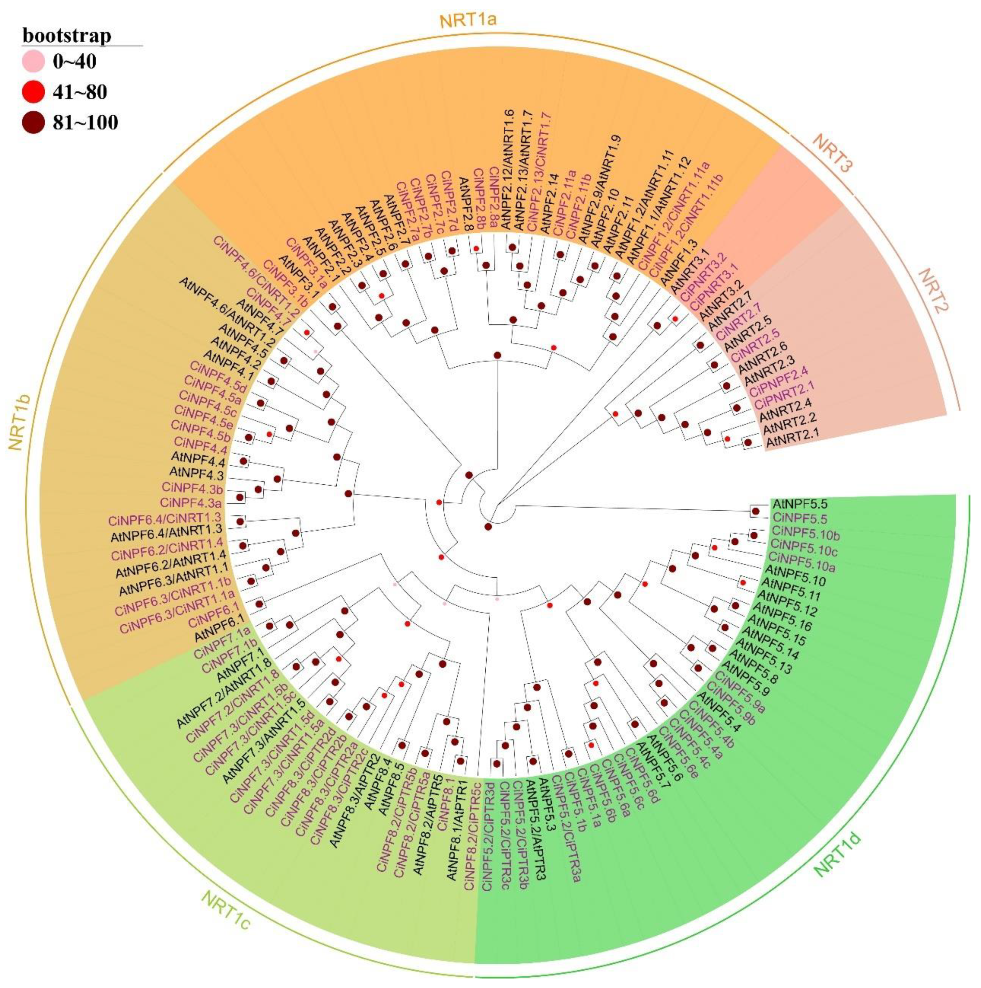 Ijms 23 13314 g002 Ijms 23 13314 g002