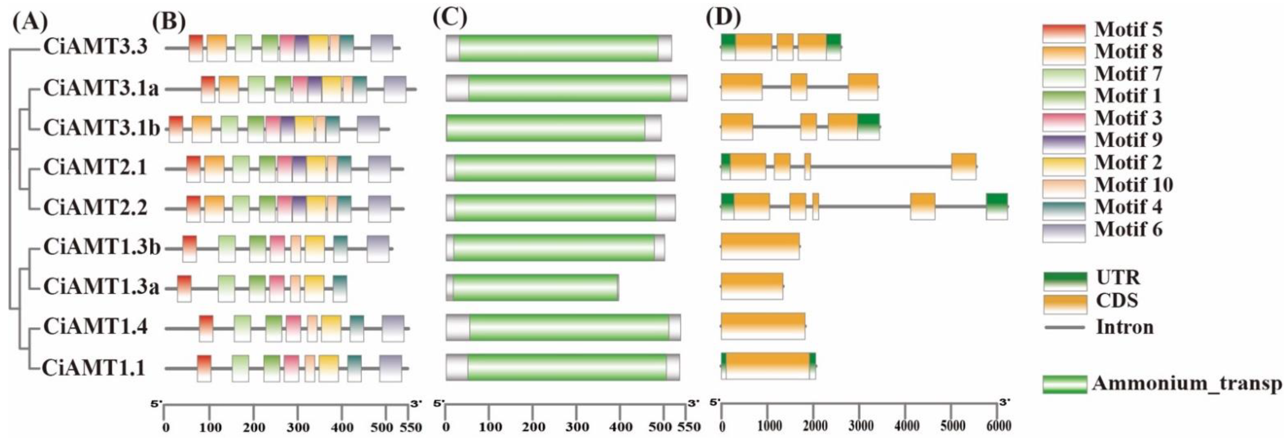 Ijms 23 13314 g003 Ijms 23 13314 g003