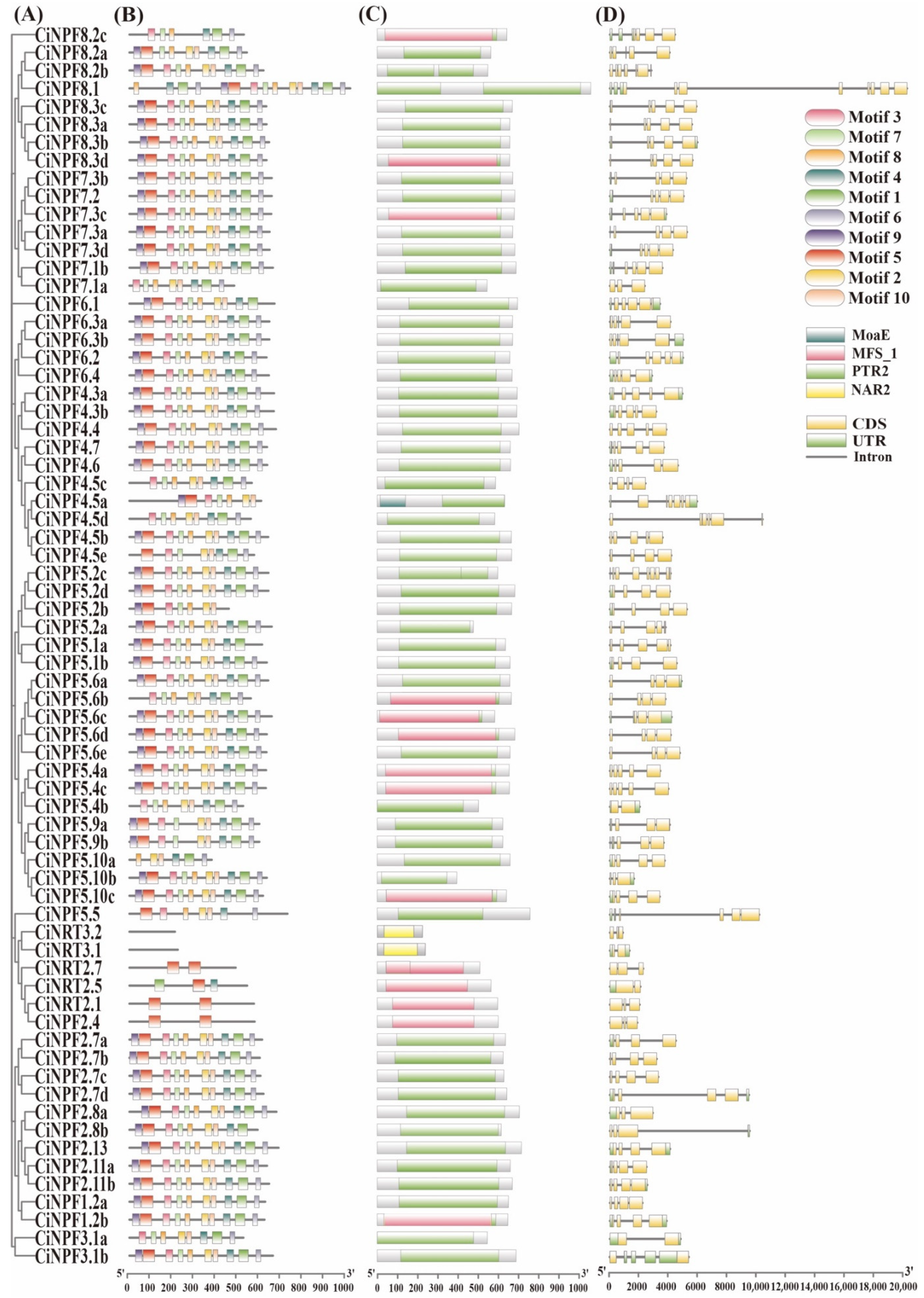 Ijms 23 13314 g004 Ijms 23 13314 g004