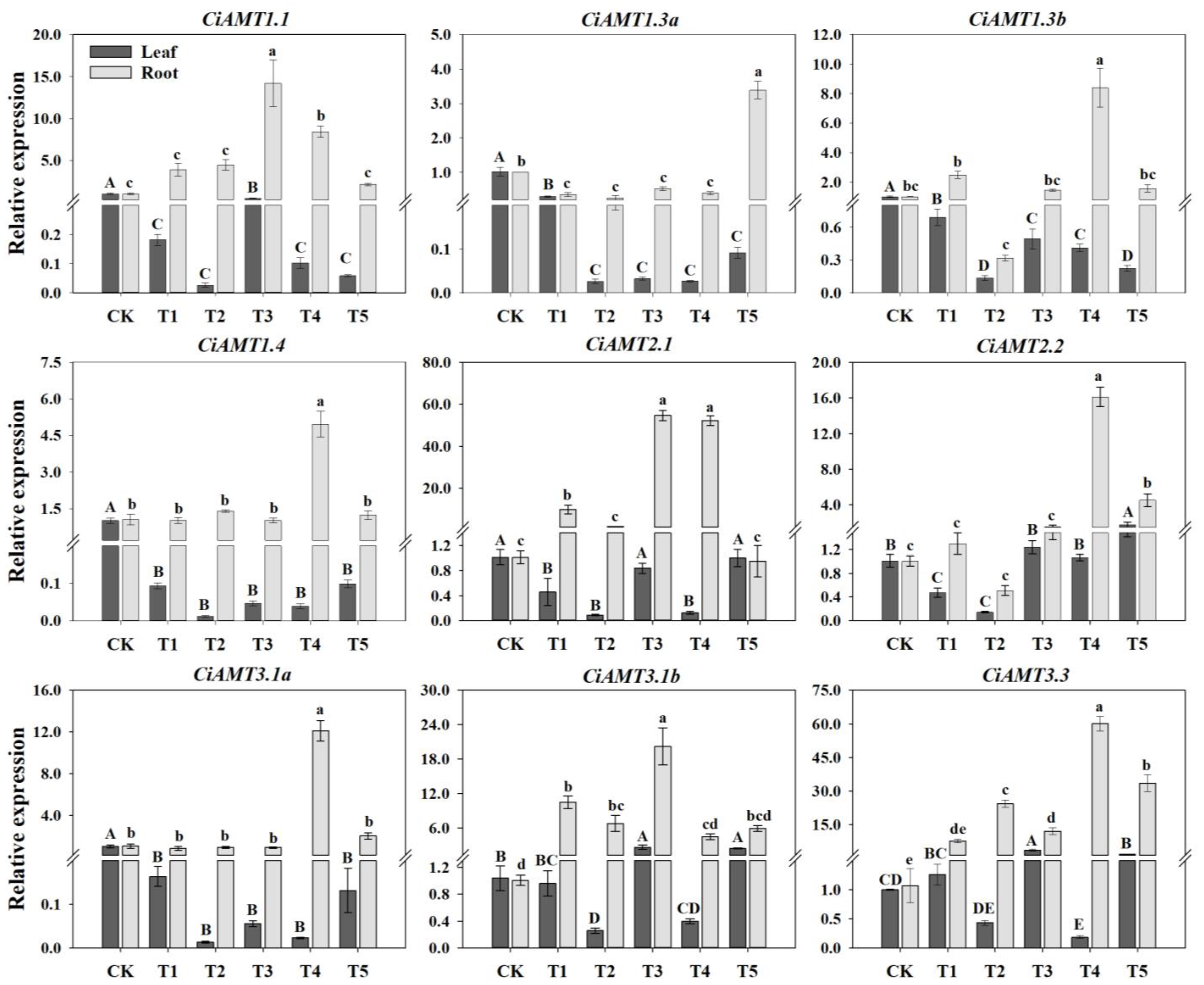 Ijms 23 13314 g005 Ijms 23 13314 g005