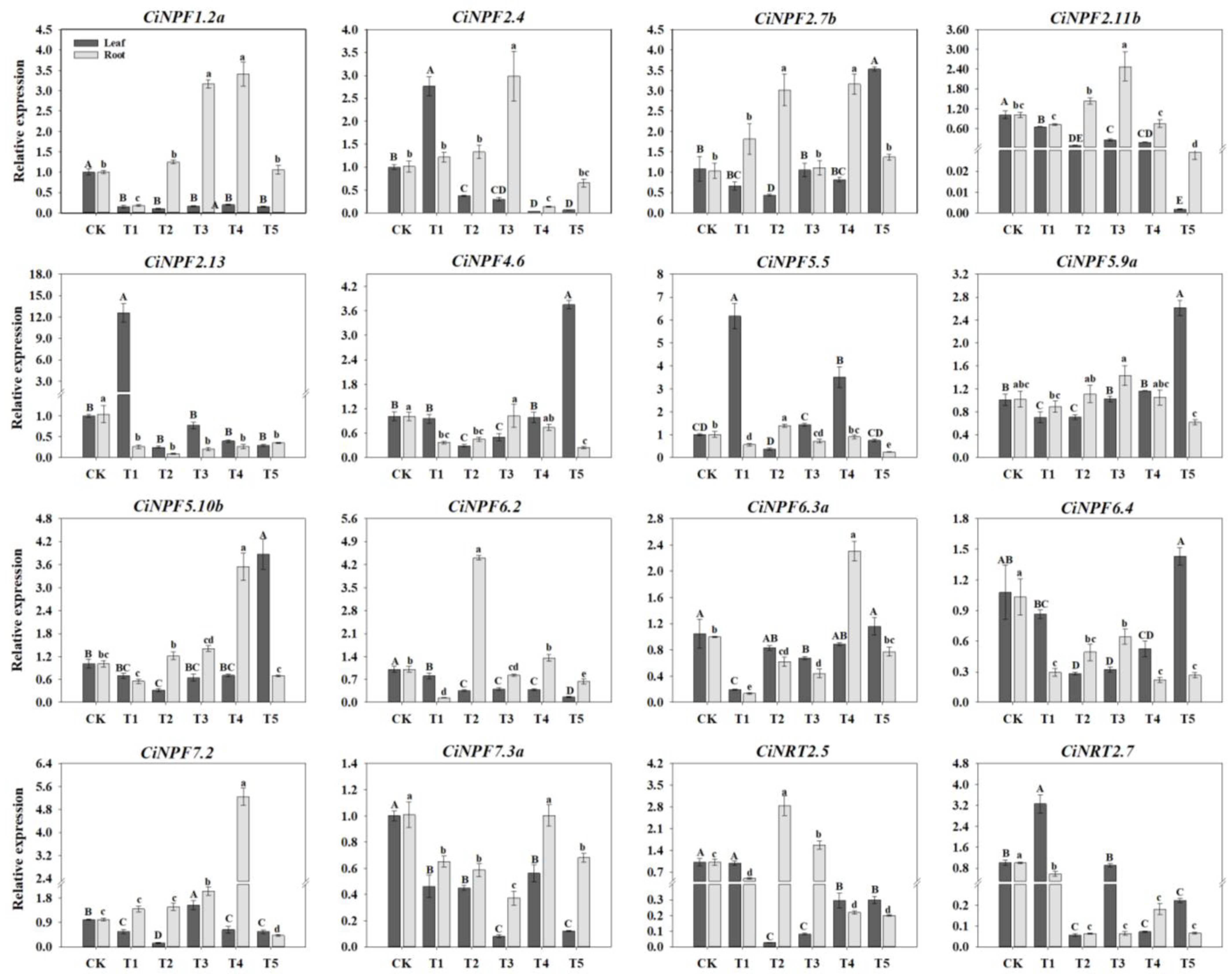 Ijms 23 13314 g006 Ijms 23 13314 g006