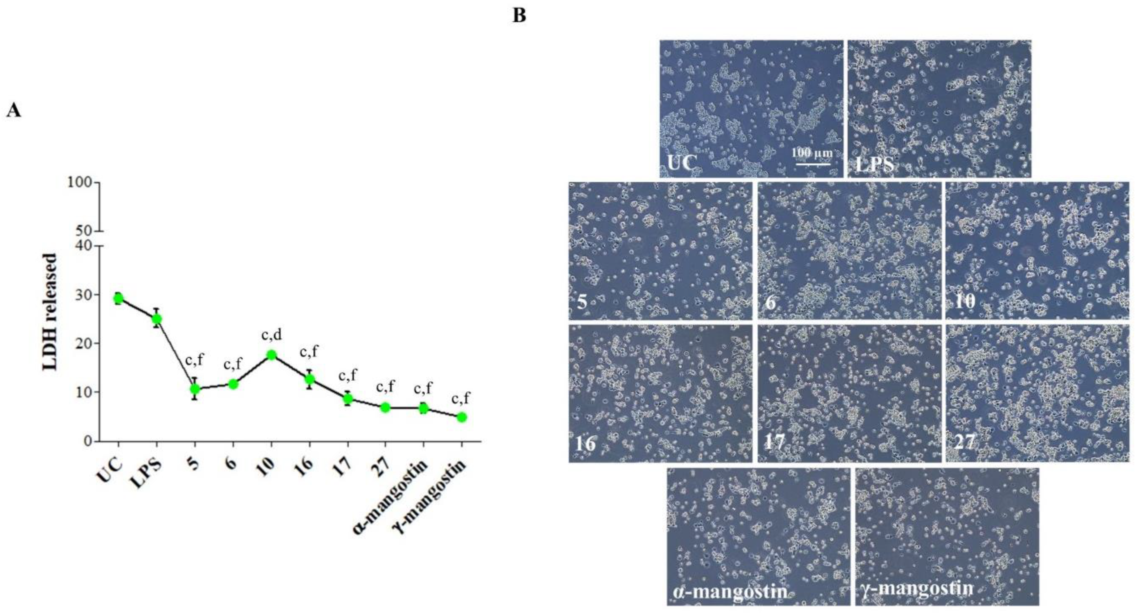 Ijms 23 13319 g001 Ijms 23 13319 g001
