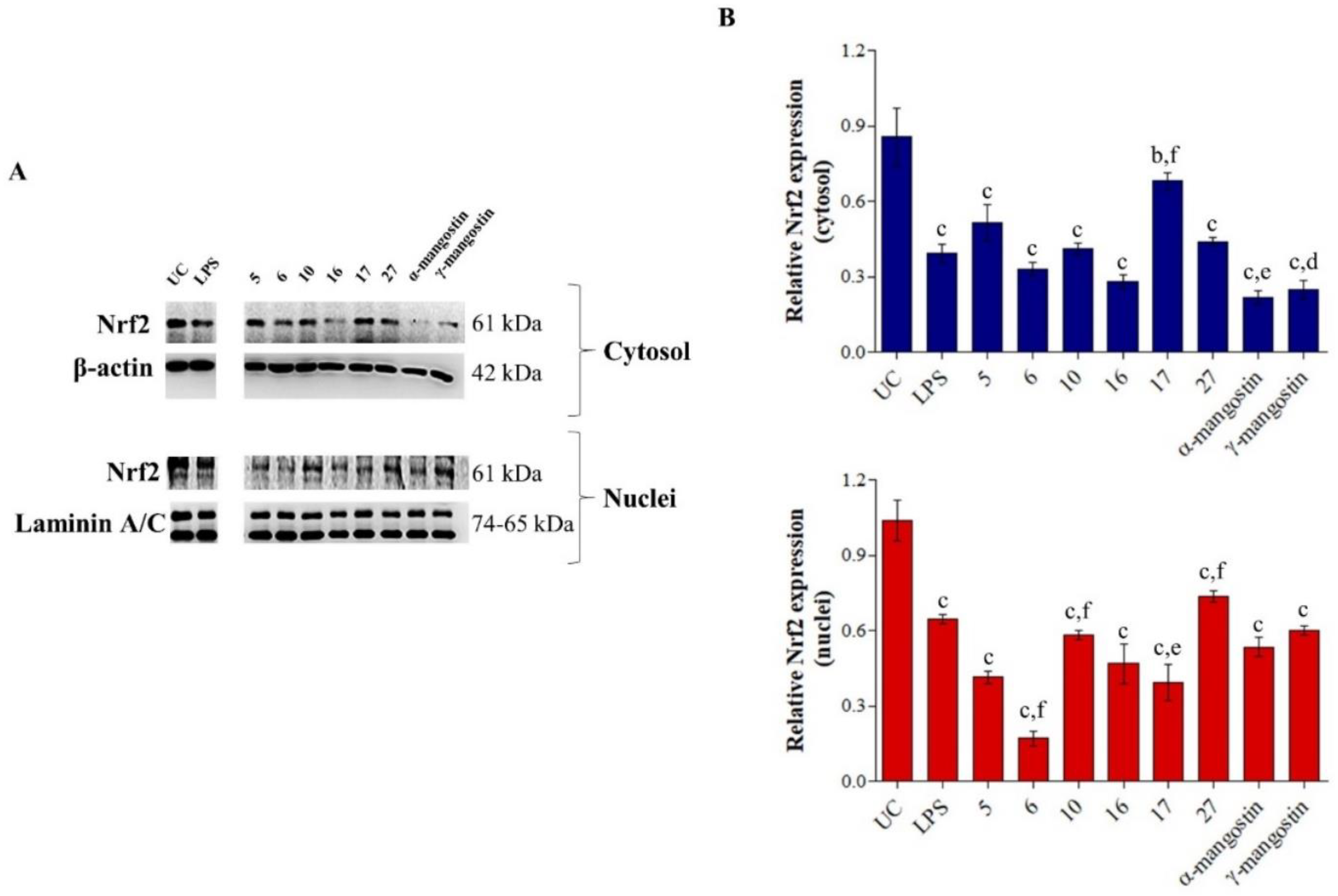 Ijms 23 13319 g002 Ijms 23 13319 g002
