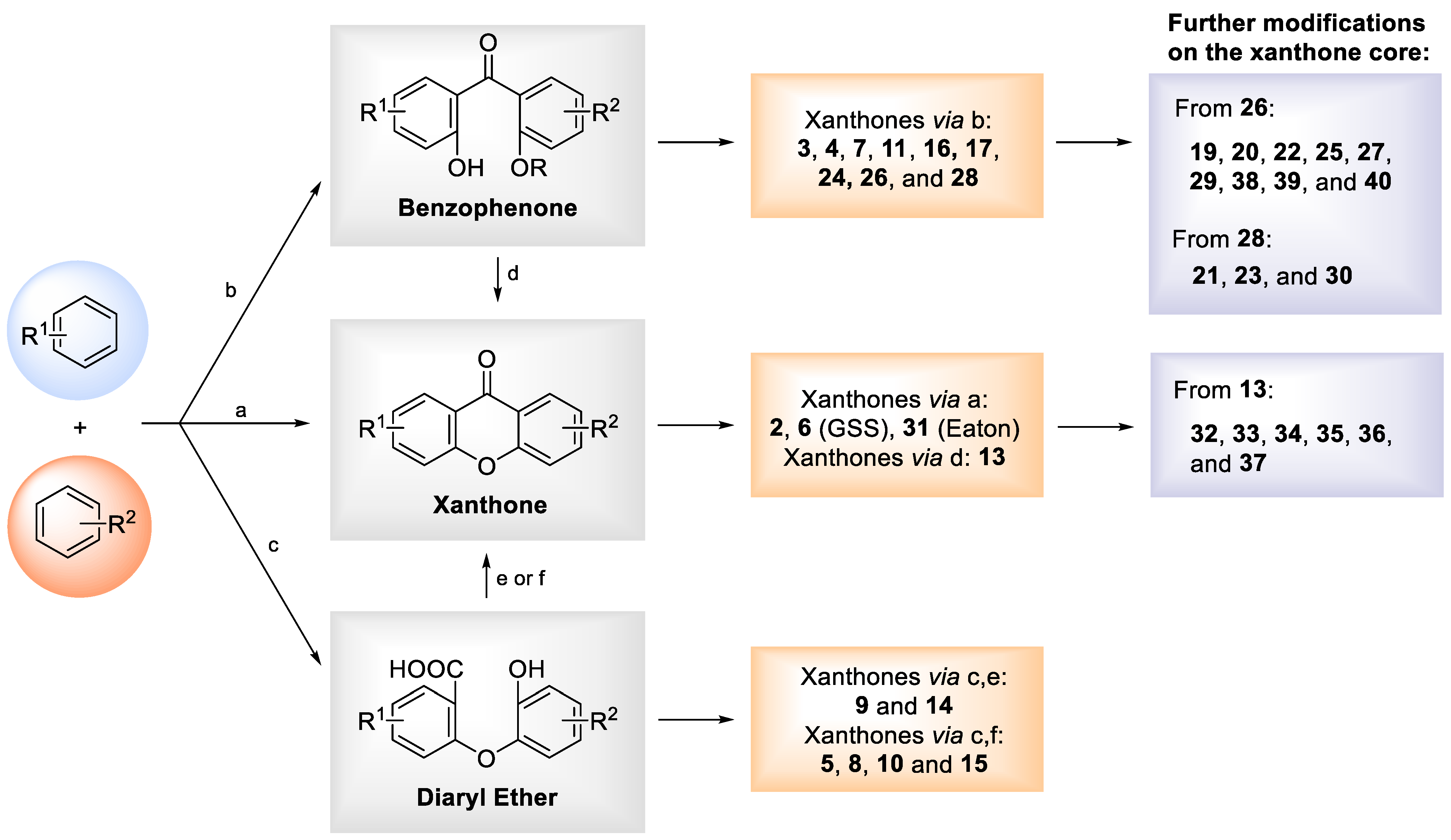 Ijms 23 13319 sch001 Ijms 23 13319 sch001