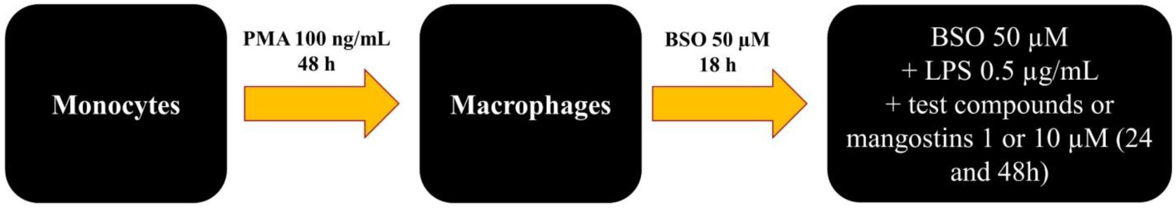 Ijms 23 13319 sch002 Ijms 23 13319 sch002