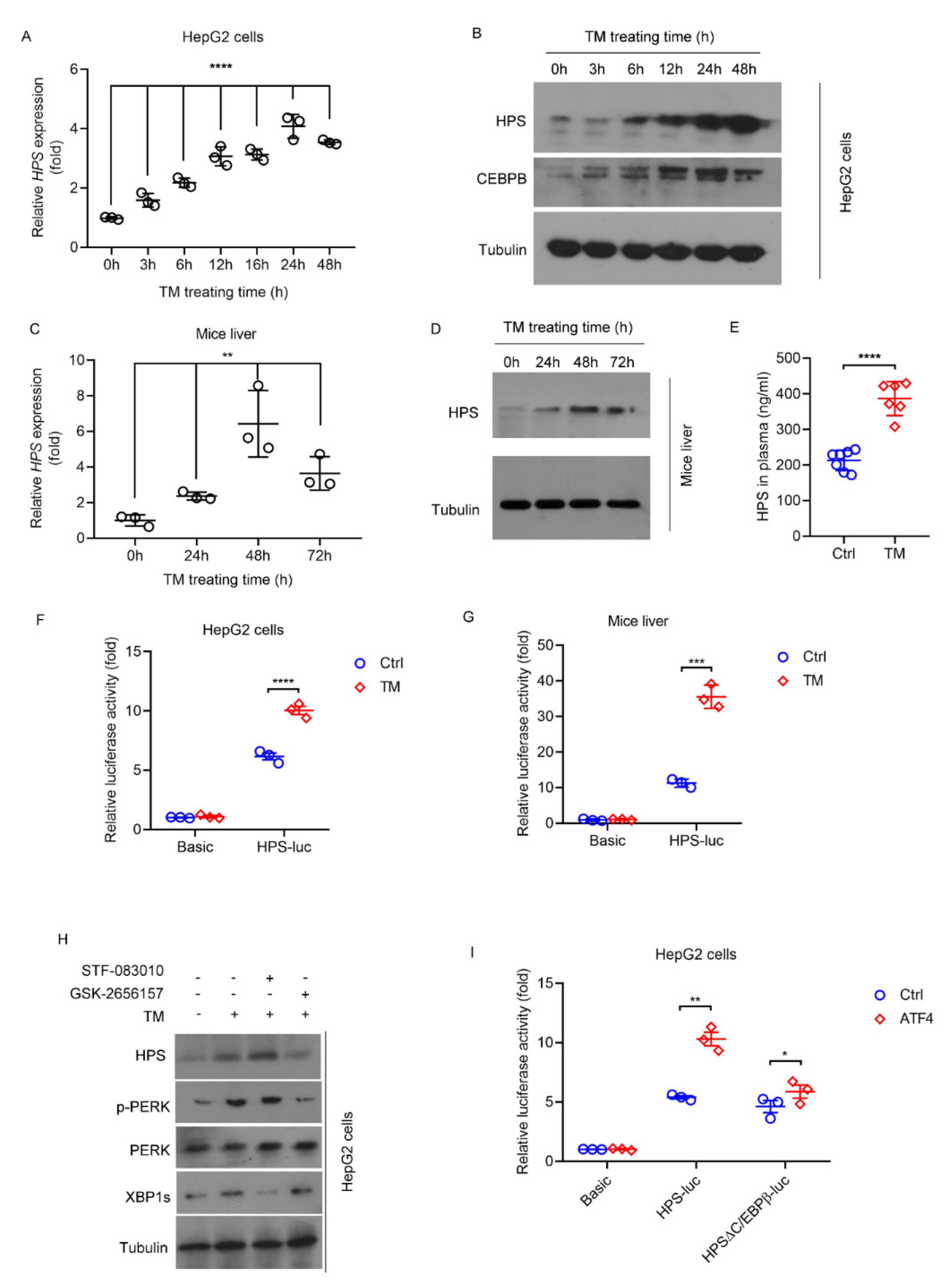 Ijms 23 13325 g001 Ijms 23 13325 g001