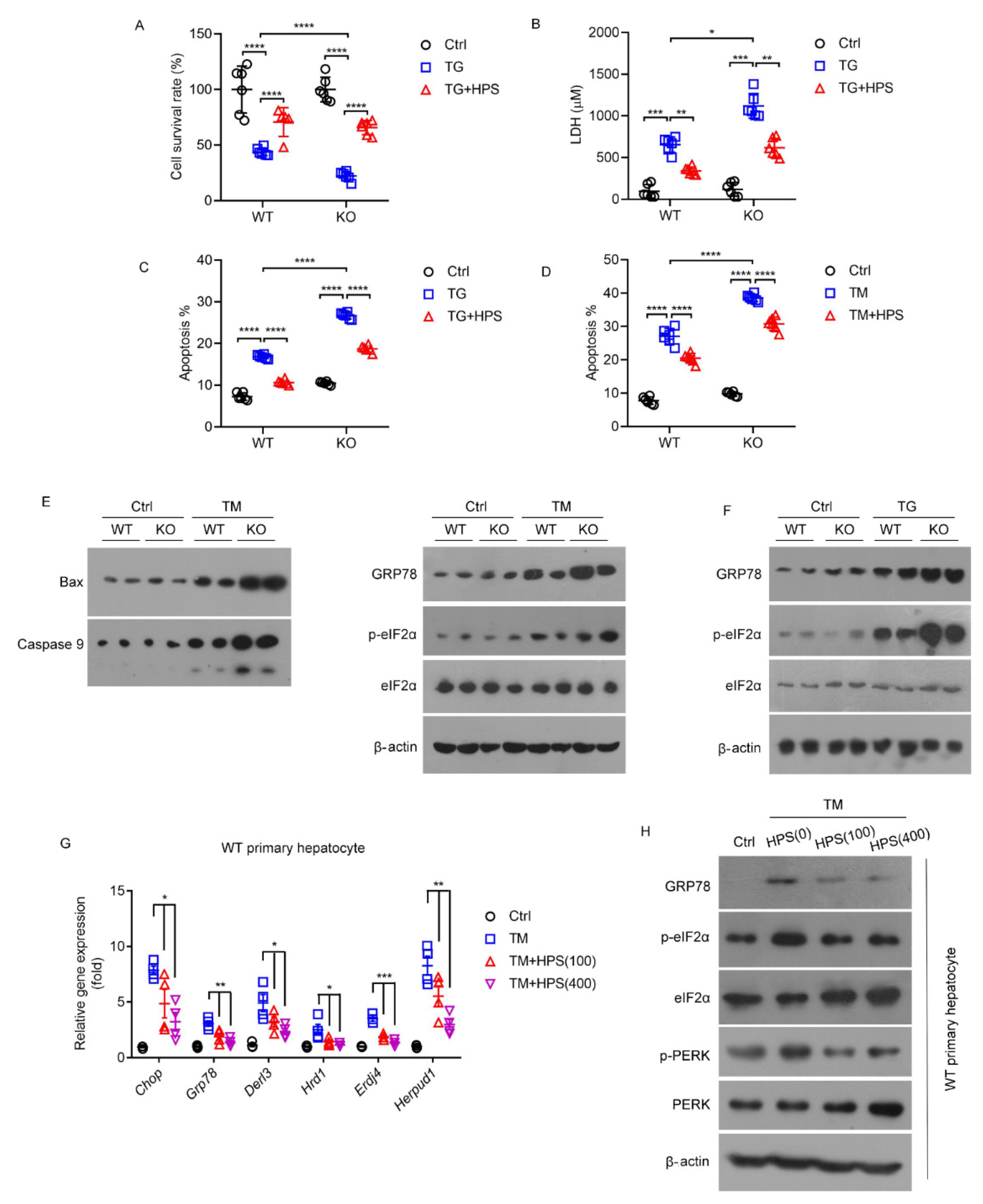 Ijms 23 13325 g002 Ijms 23 13325 g002