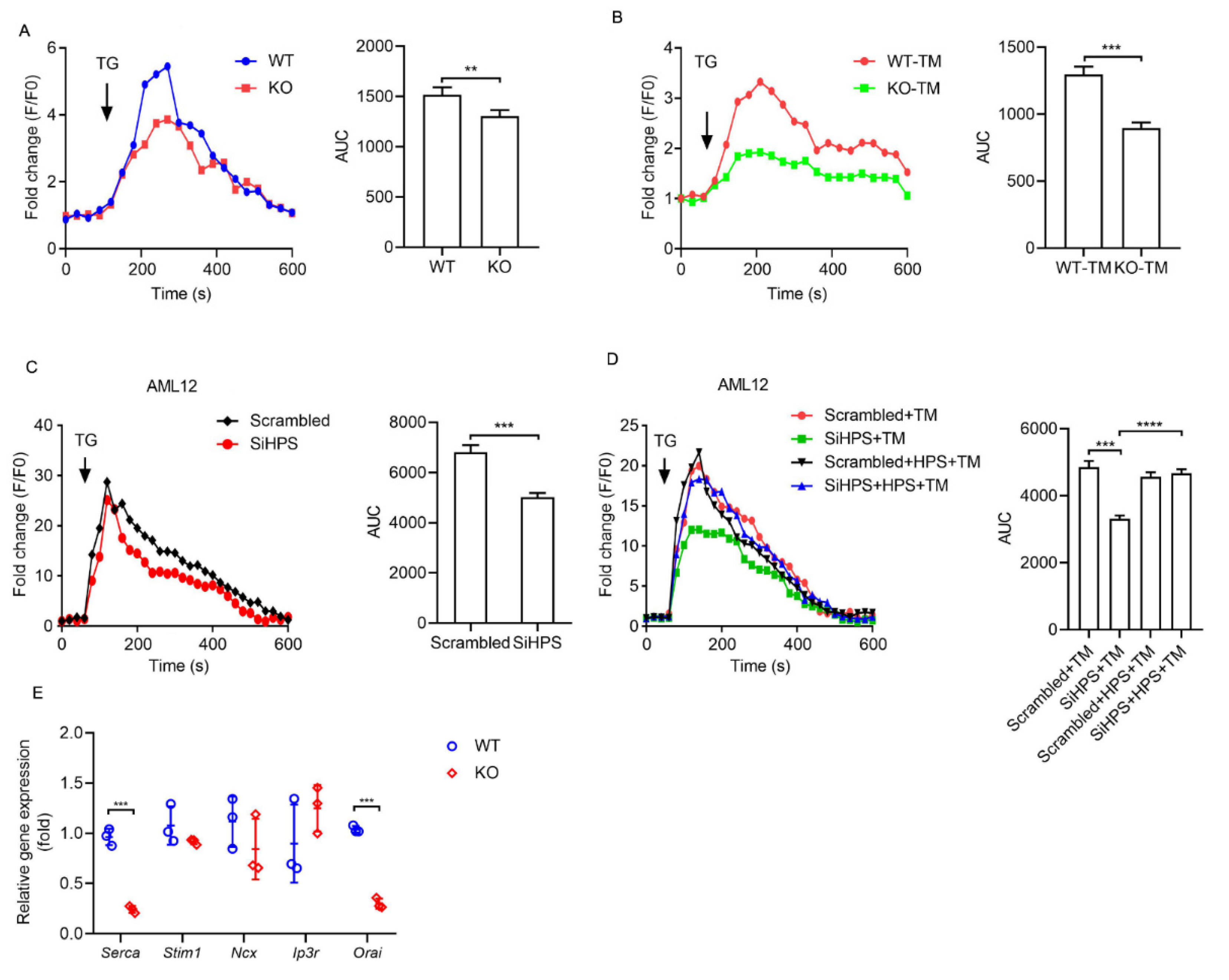 Ijms 23 13325 g003 Ijms 23 13325 g003