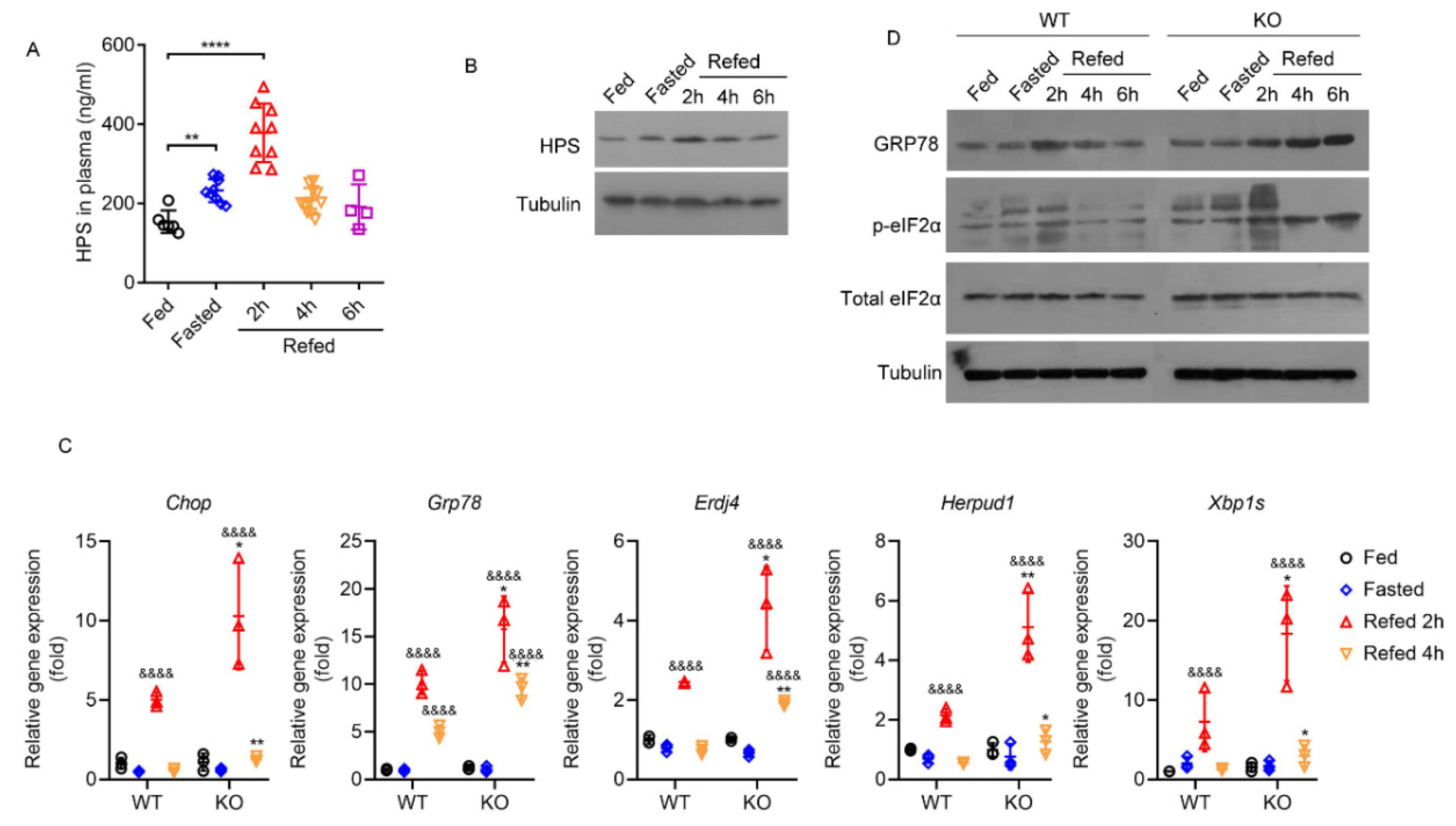 Ijms 23 13325 g004 Ijms 23 13325 g004