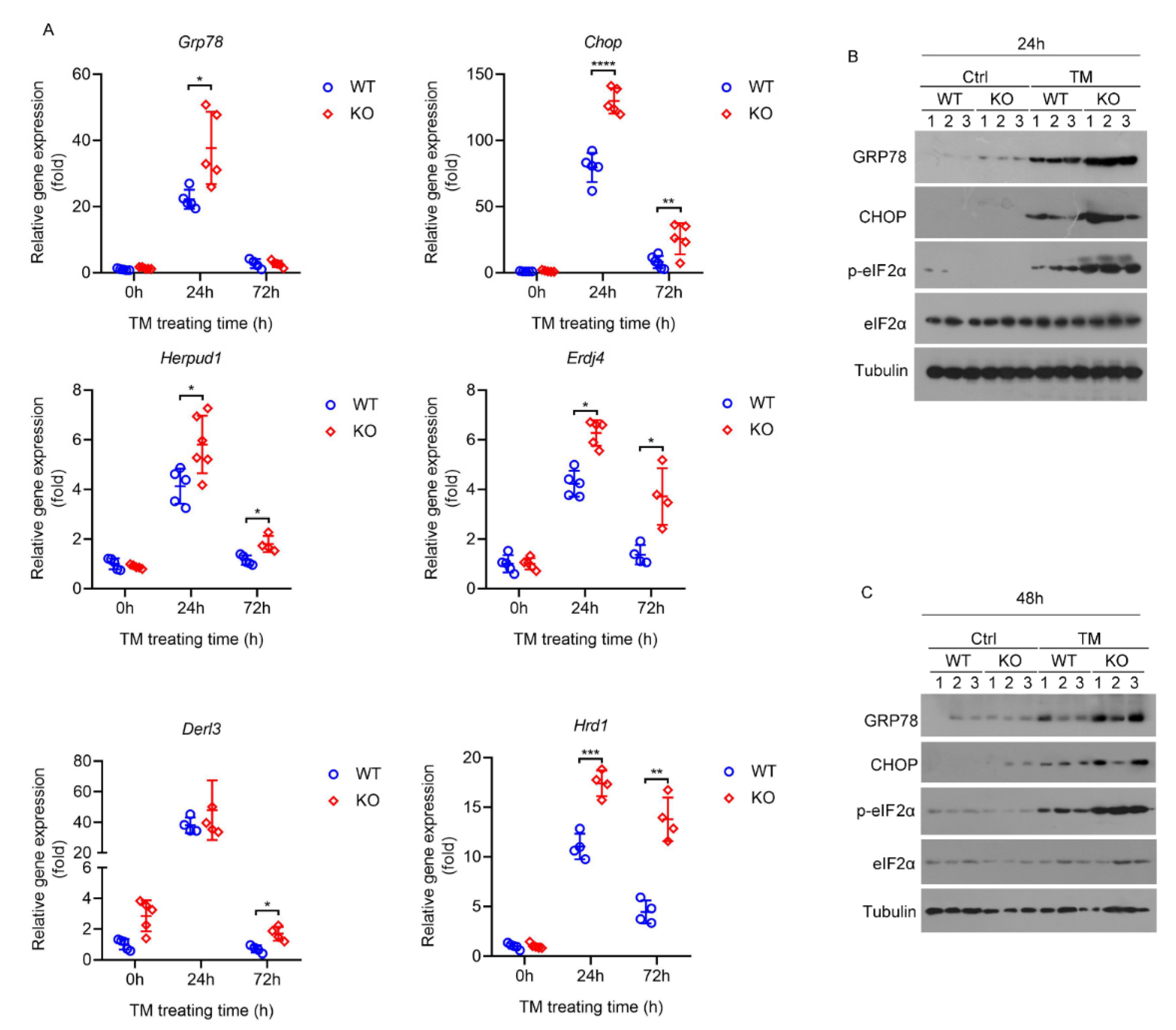 Ijms 23 13325 g005 Ijms 23 13325 g005