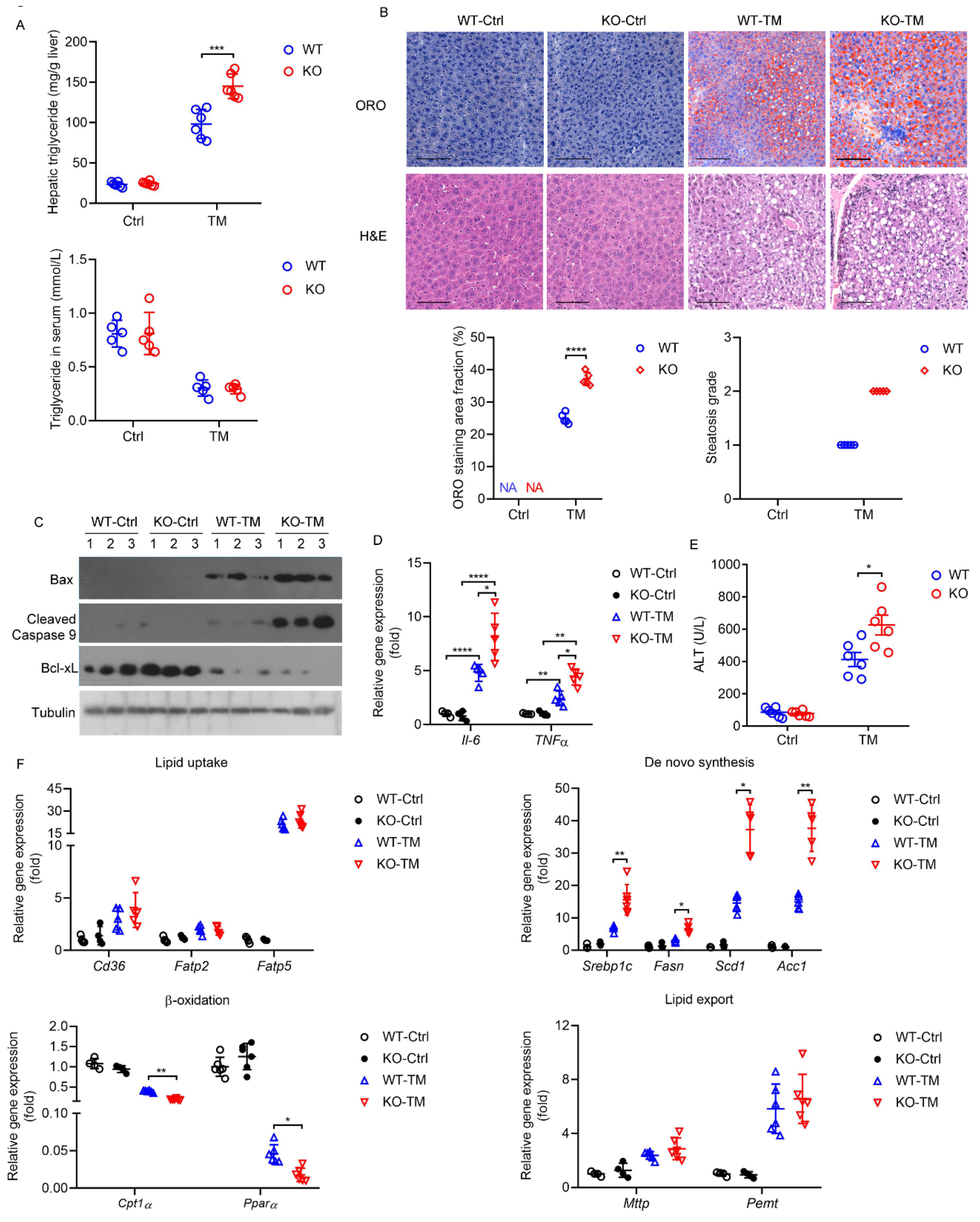 Ijms 23 13325 g006 Ijms 23 13325 g006