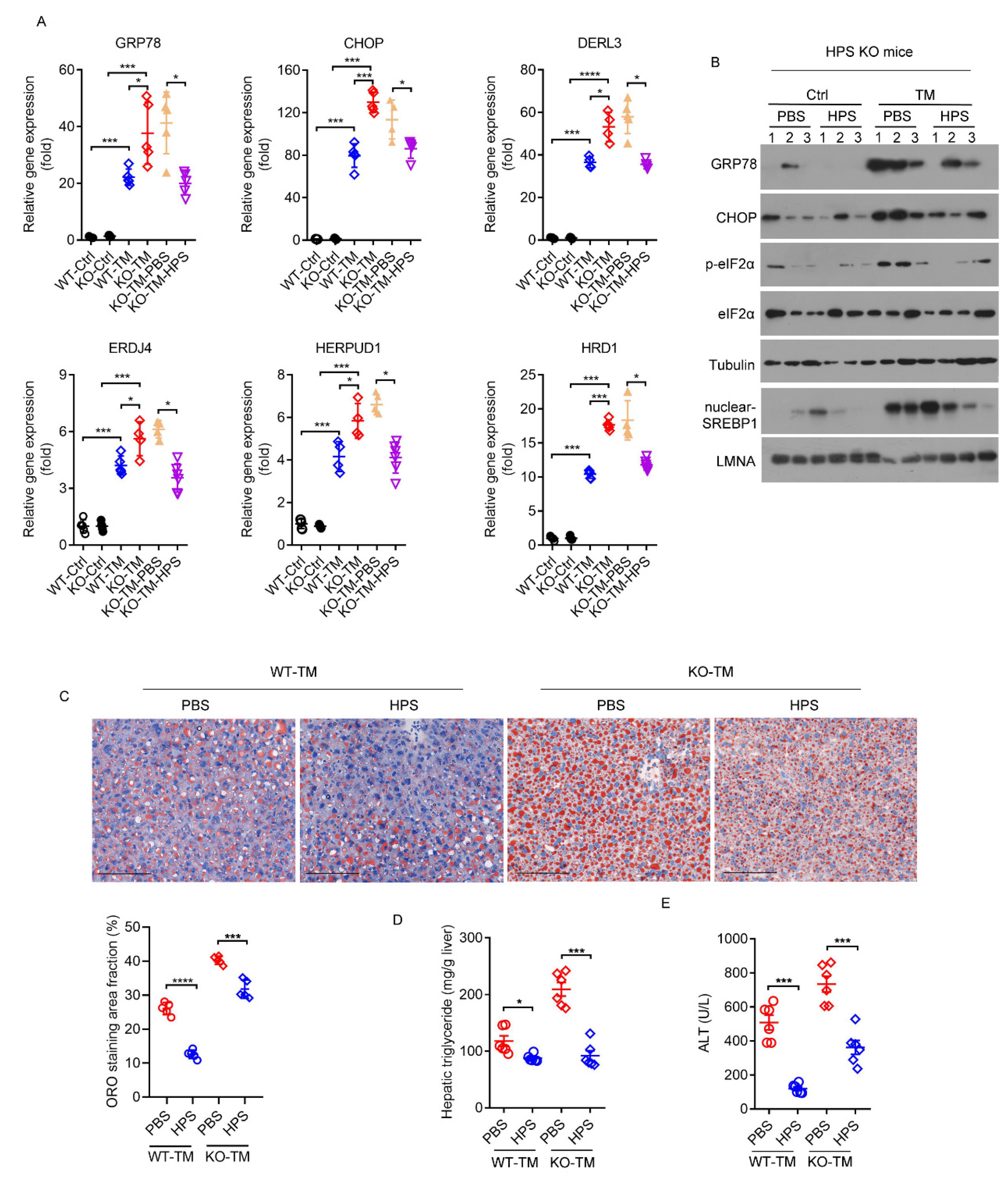 Ijms 23 13325 g007 Ijms 23 13325 g007