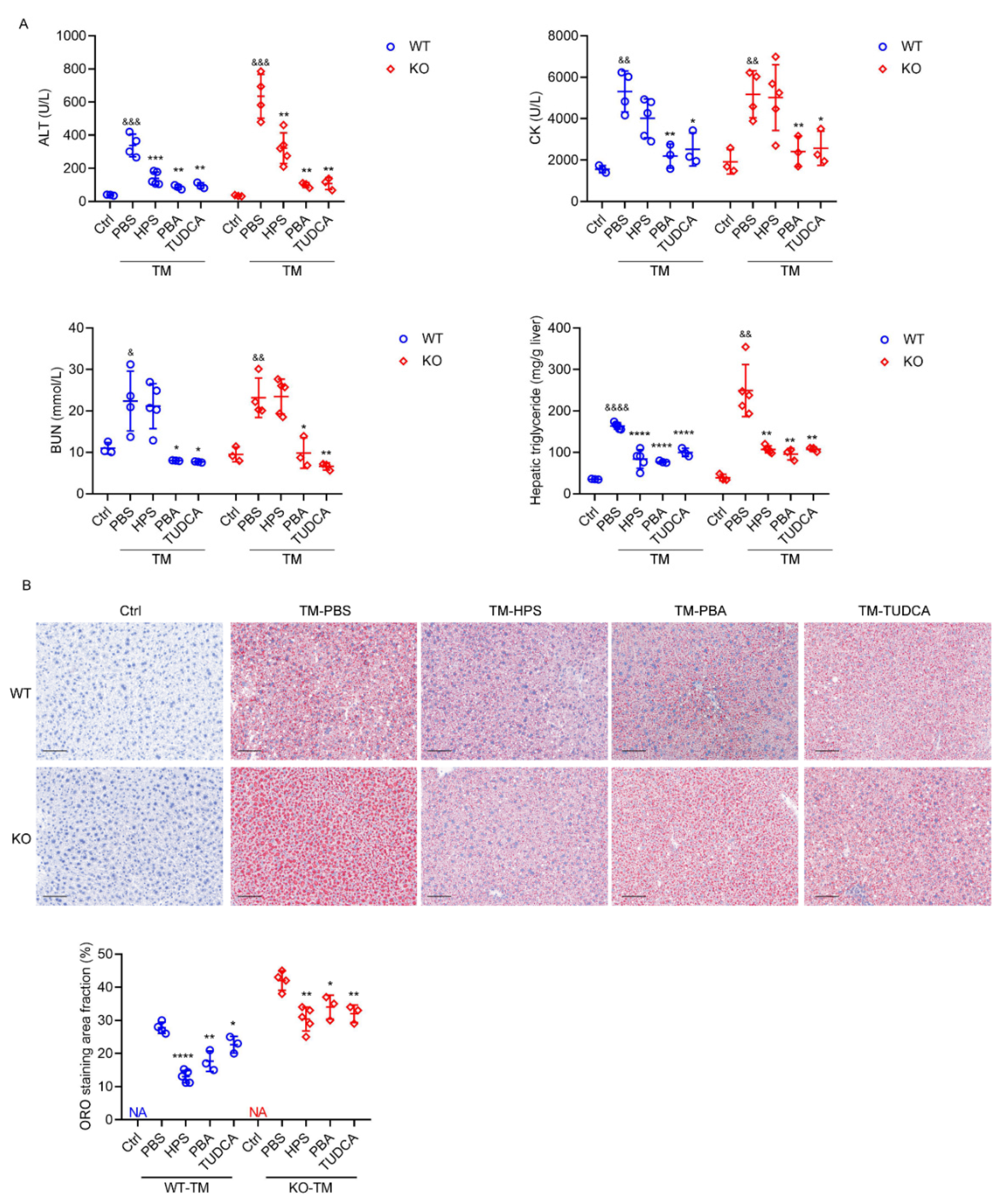 Ijms 23 13325 g008 Ijms 23 13325 g008