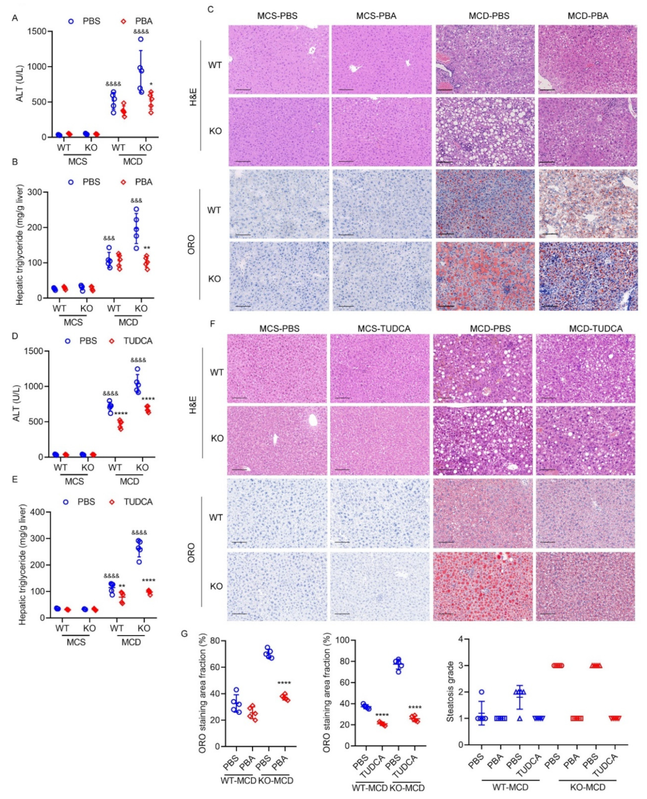 Ijms 23 13325 g009 Ijms 23 13325 g009