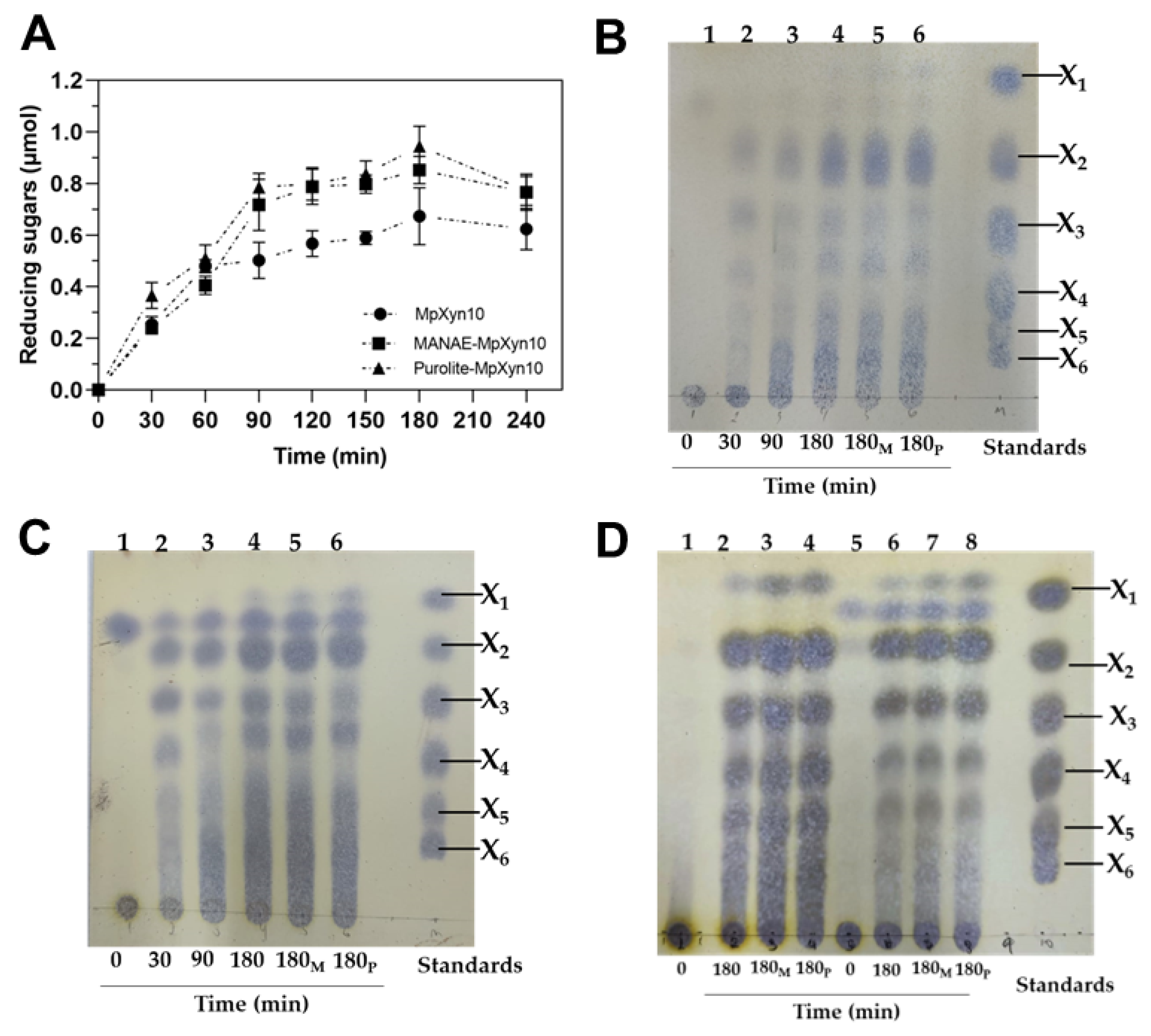 Ijms 23 13329 g005 Ijms 23 13329 g005