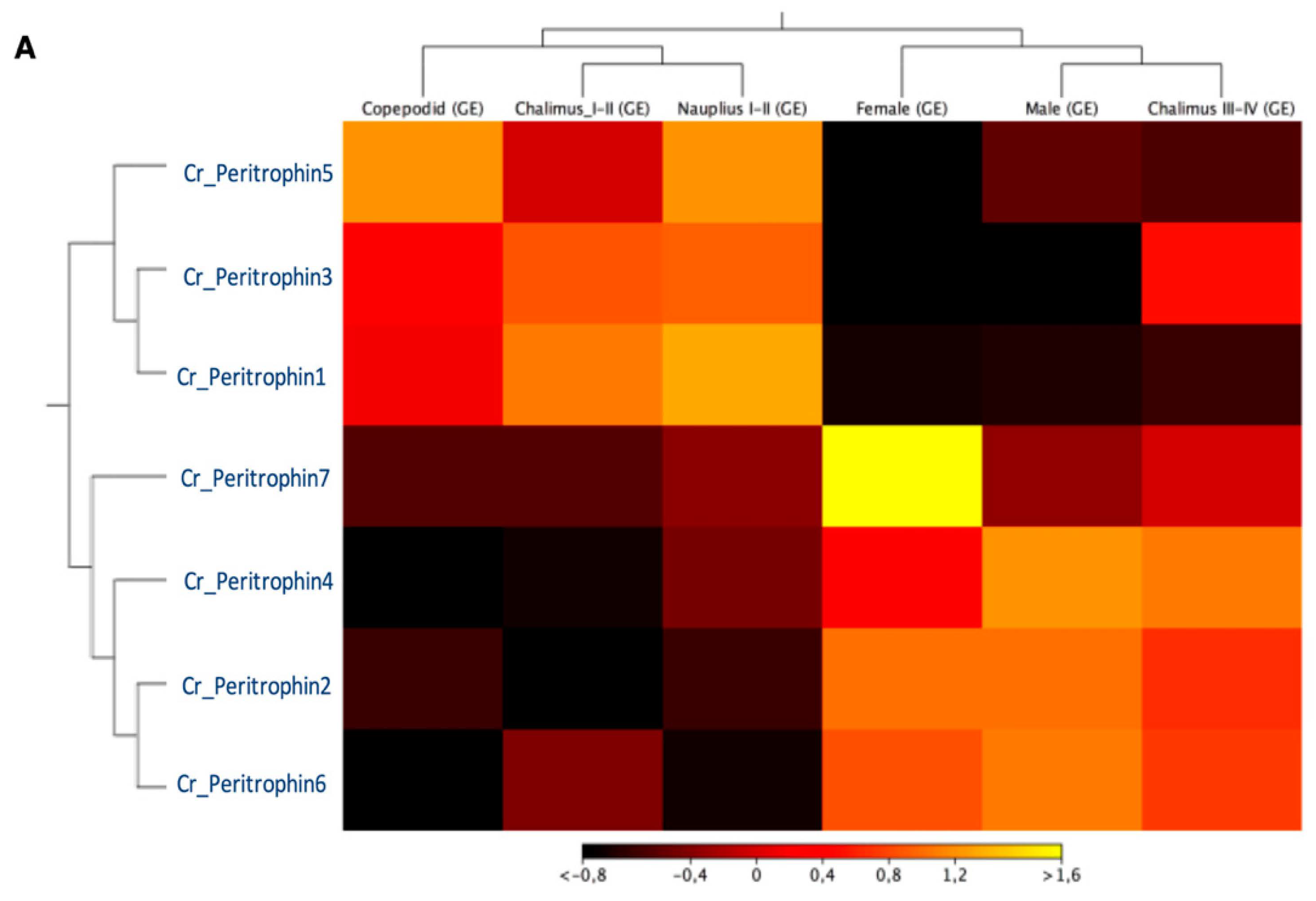 Ijms 23 13341 g003a Ijms 23 13341 g003a