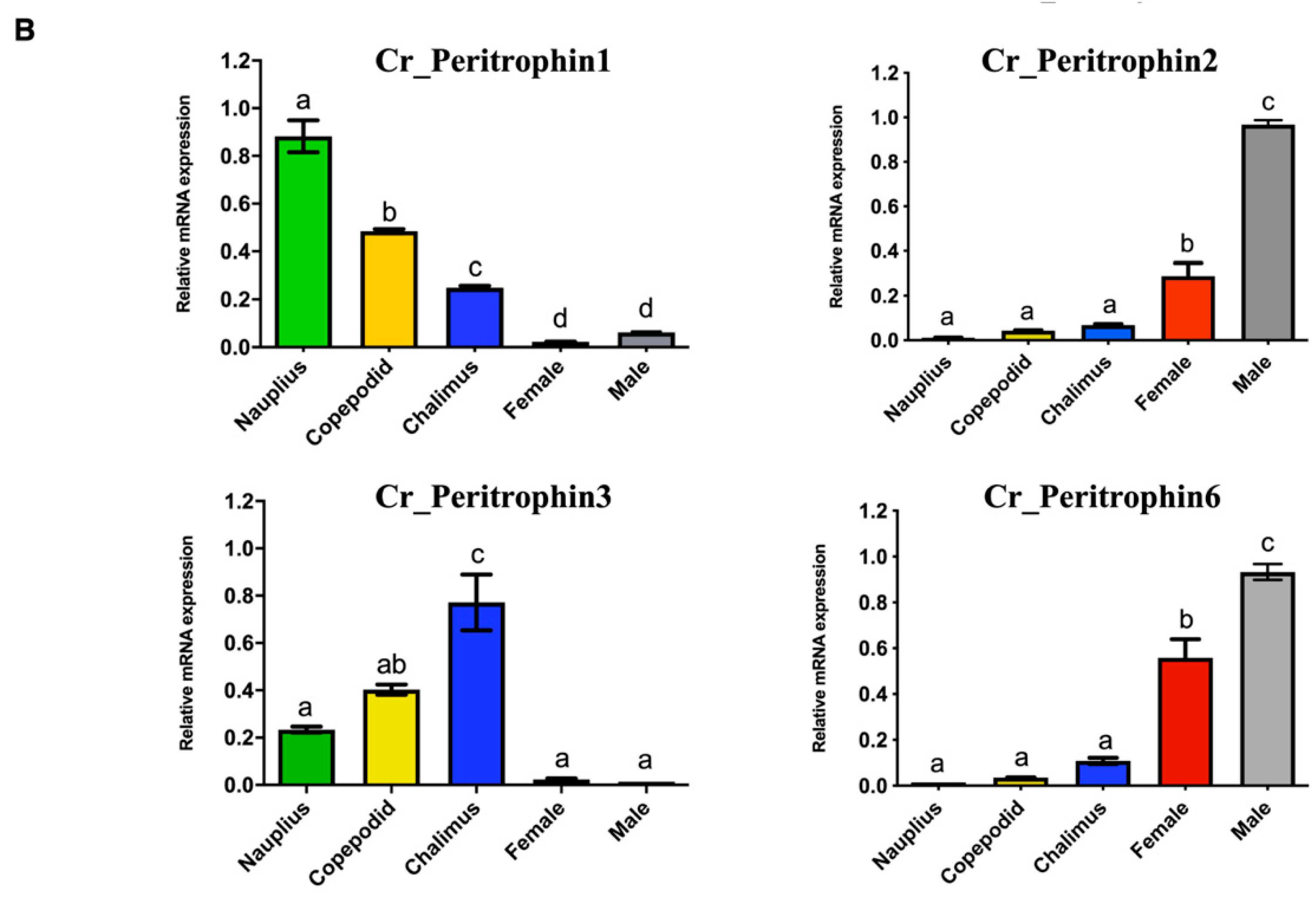 Ijms 23 13341 g003b Ijms 23 13341 g003b