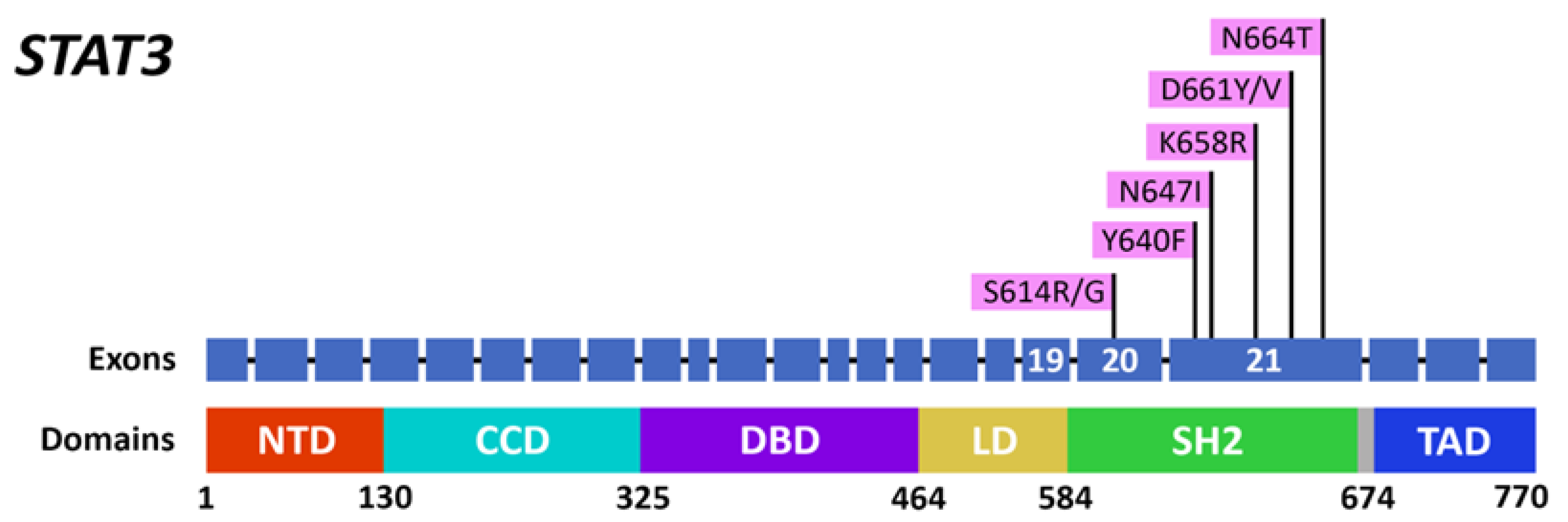 Ijms 23 13345 g002 Ijms 23 13345 g002