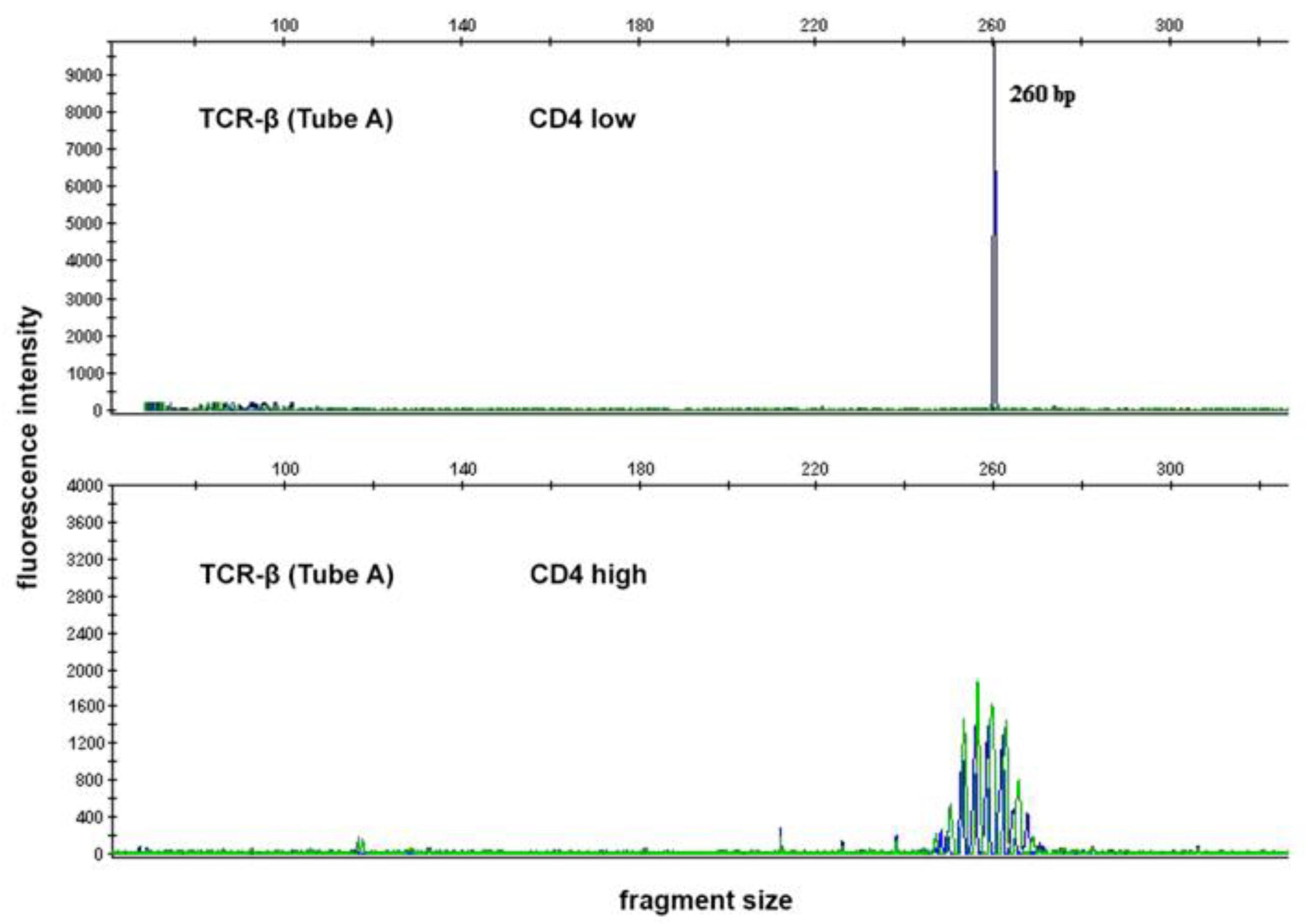 Ijms 23 13345 g003 Ijms 23 13345 g003