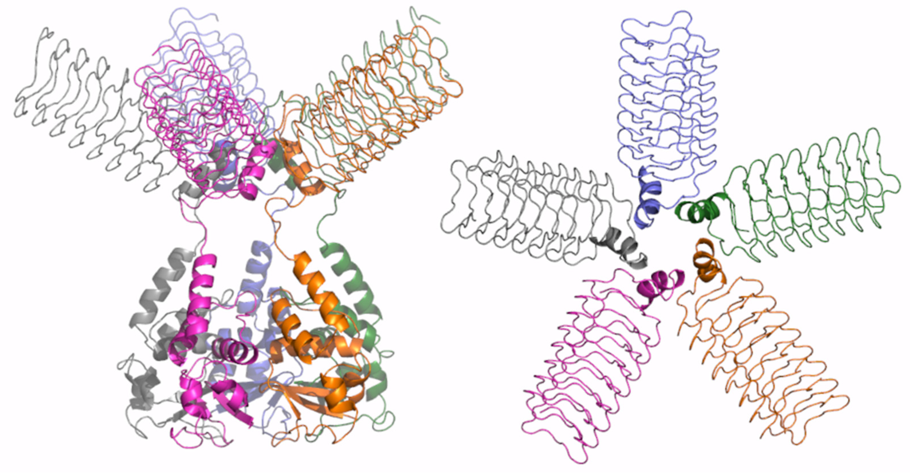 Ijms 23 13346 g007 Ijms 23 13346 g007