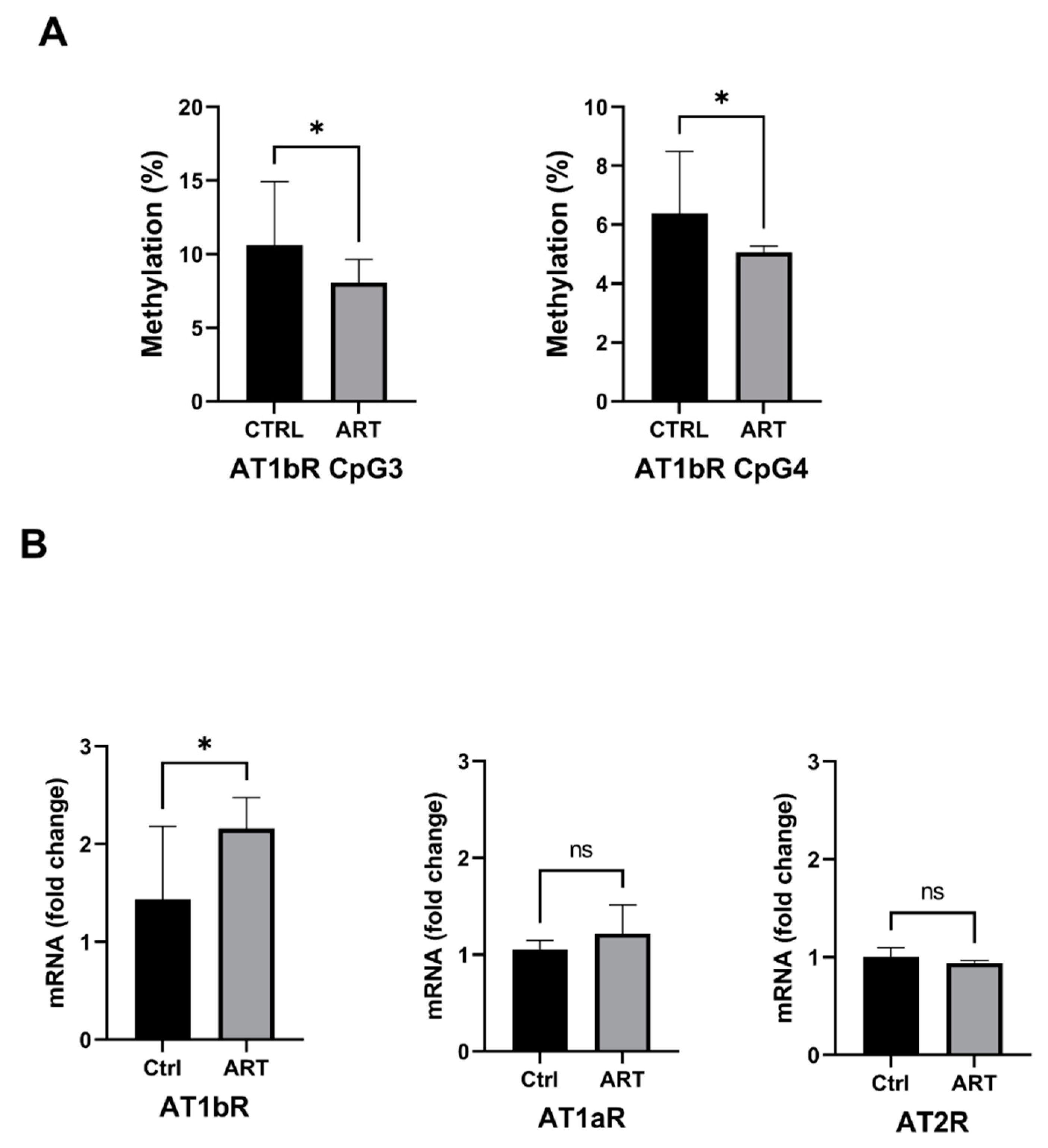 Ijms 23 13357 g003 Ijms 23 13357 g003