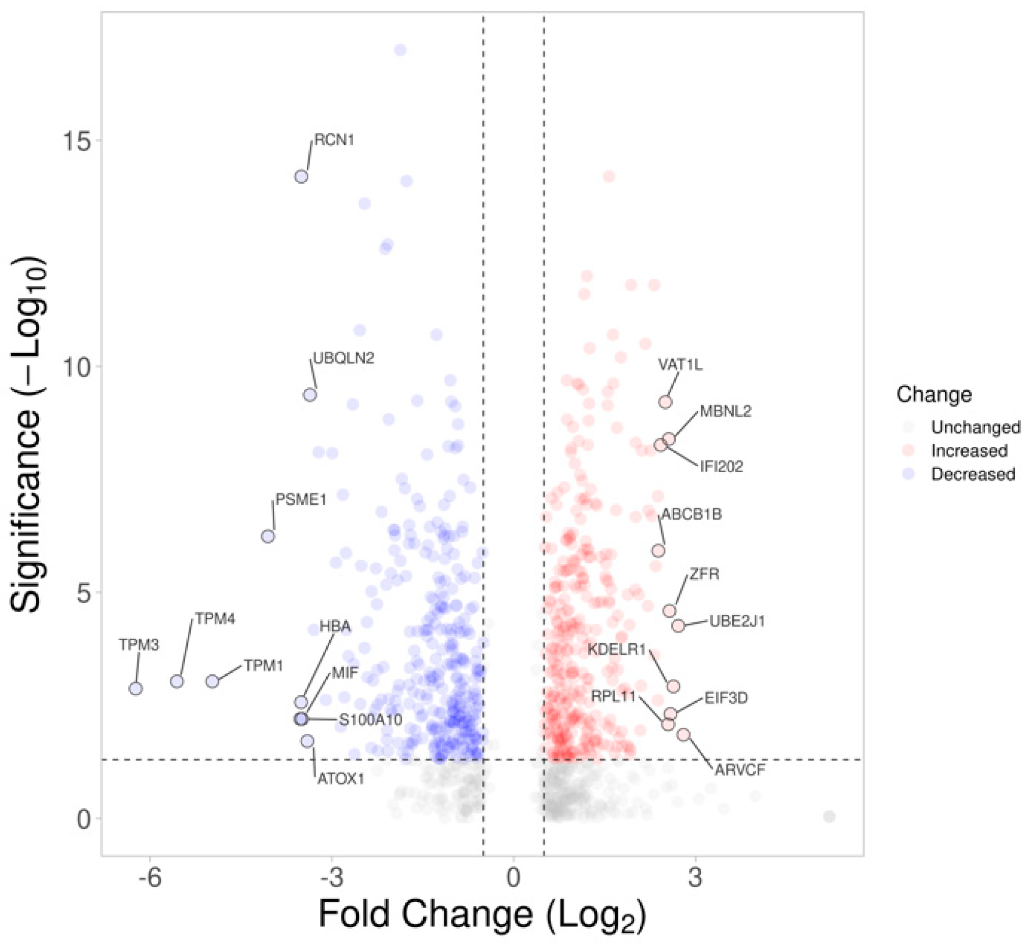 Ijms 23 13366 g003 Ijms 23 13366 g003