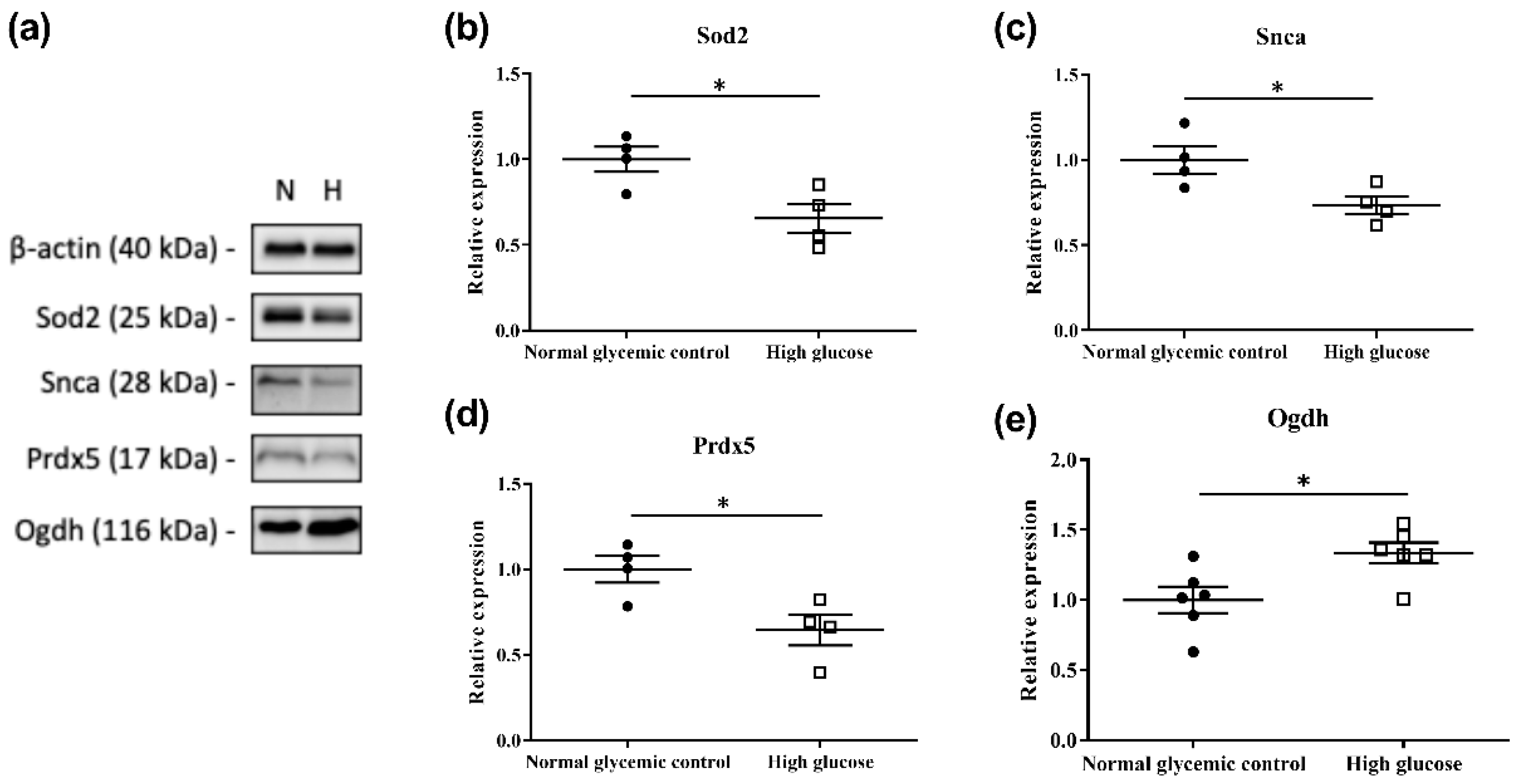 Ijms 23 13366 g004 Ijms 23 13366 g004