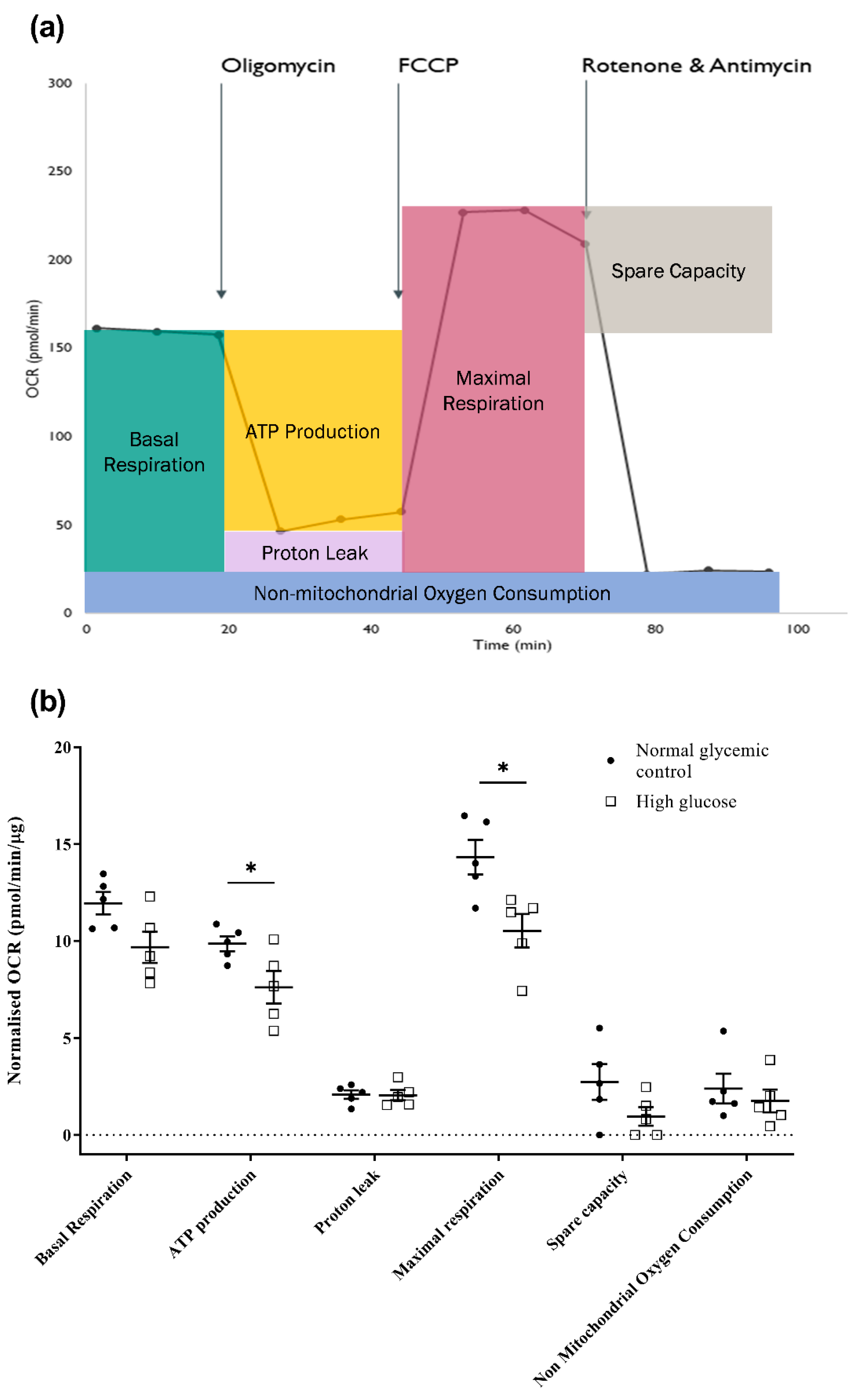 Ijms 23 13366 g005 Ijms 23 13366 g005