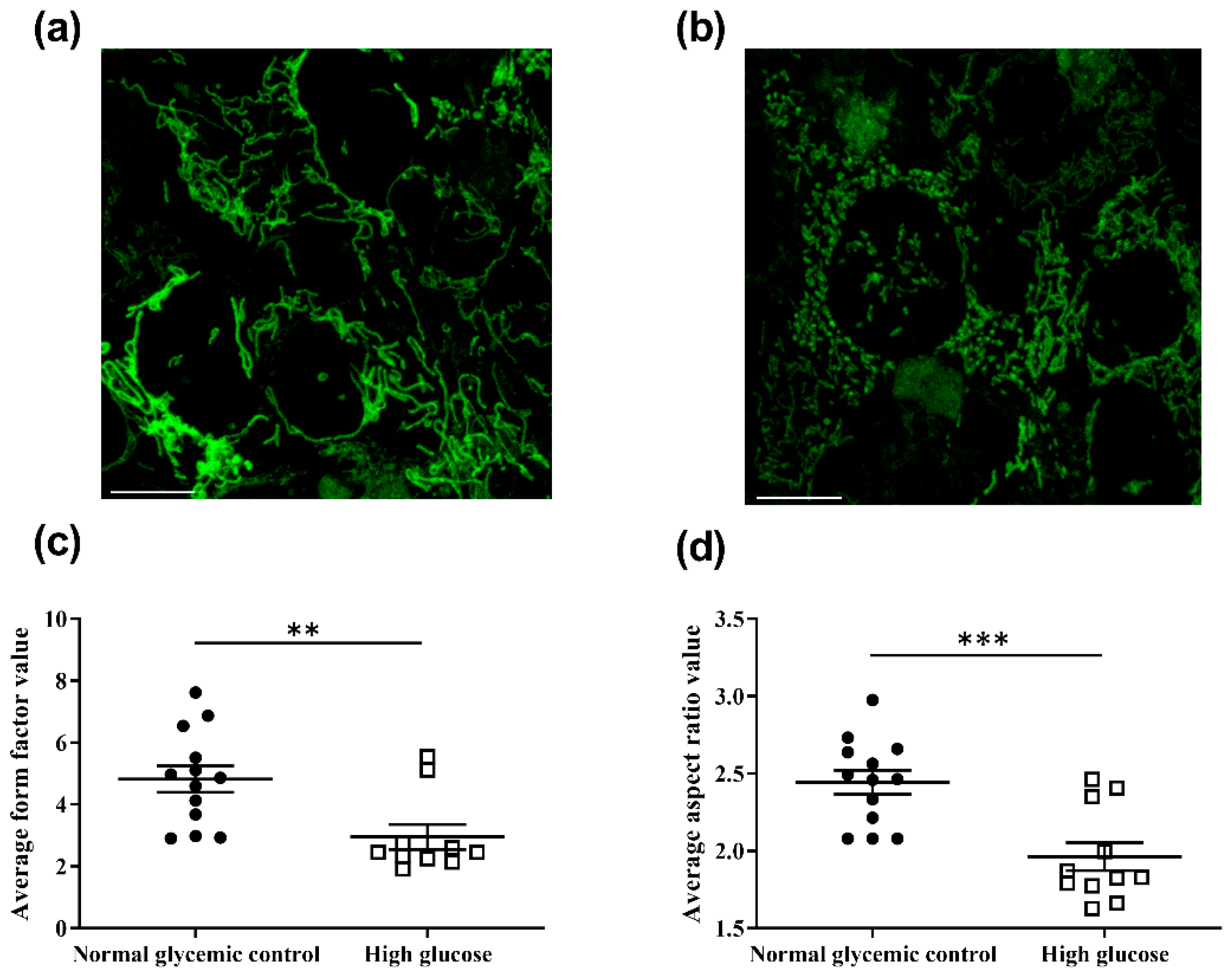 Ijms 23 13366 g006a Ijms 23 13366 g006a