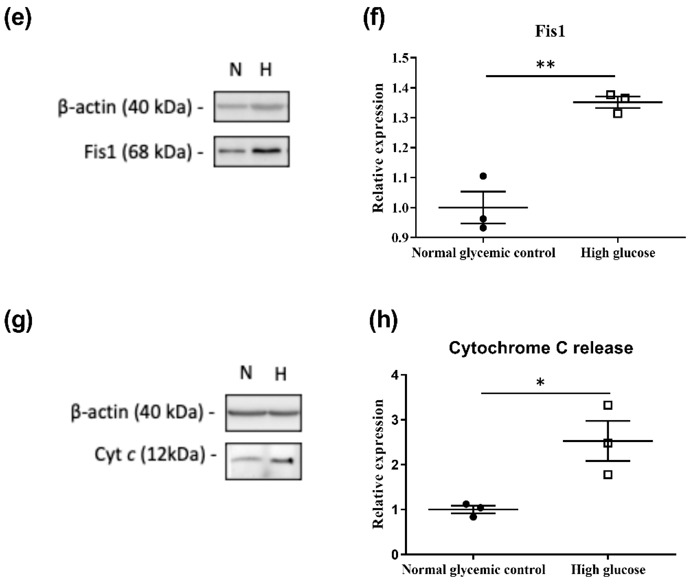 Ijms 23 13366 g006b Ijms 23 13366 g006b