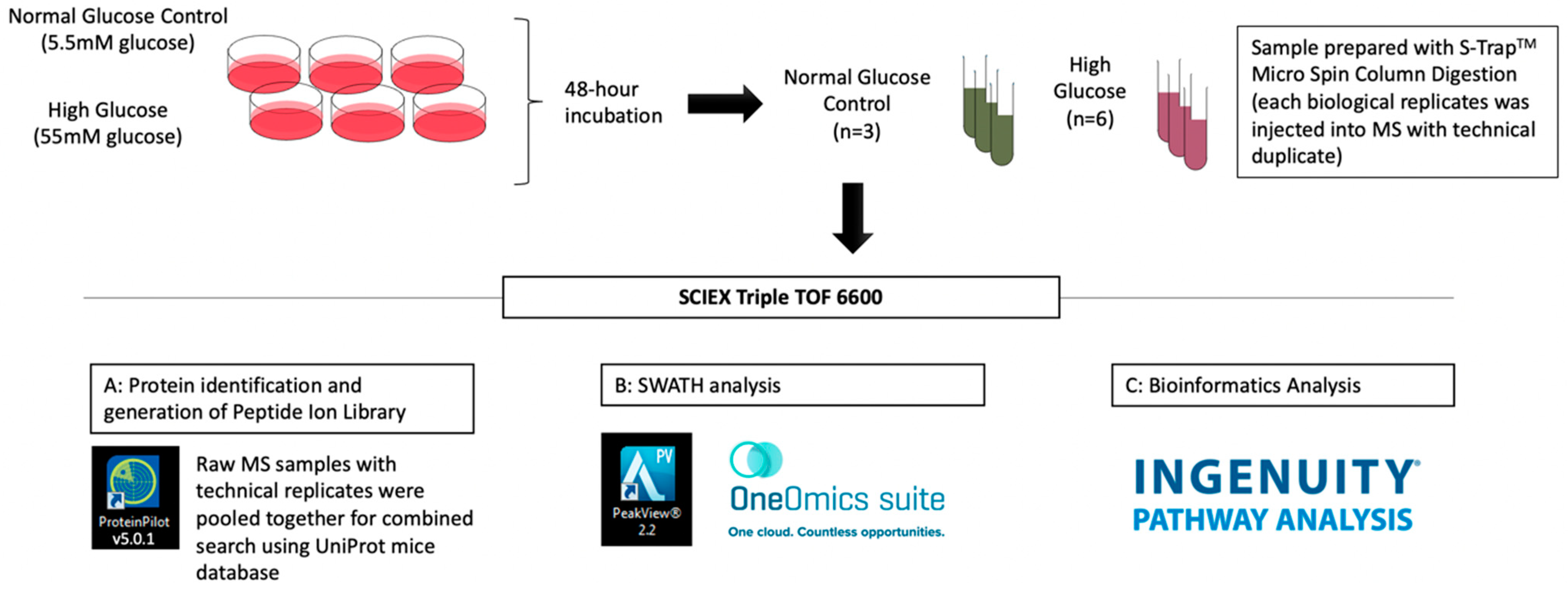 Ijms 23 13366 g007 Ijms 23 13366 g007