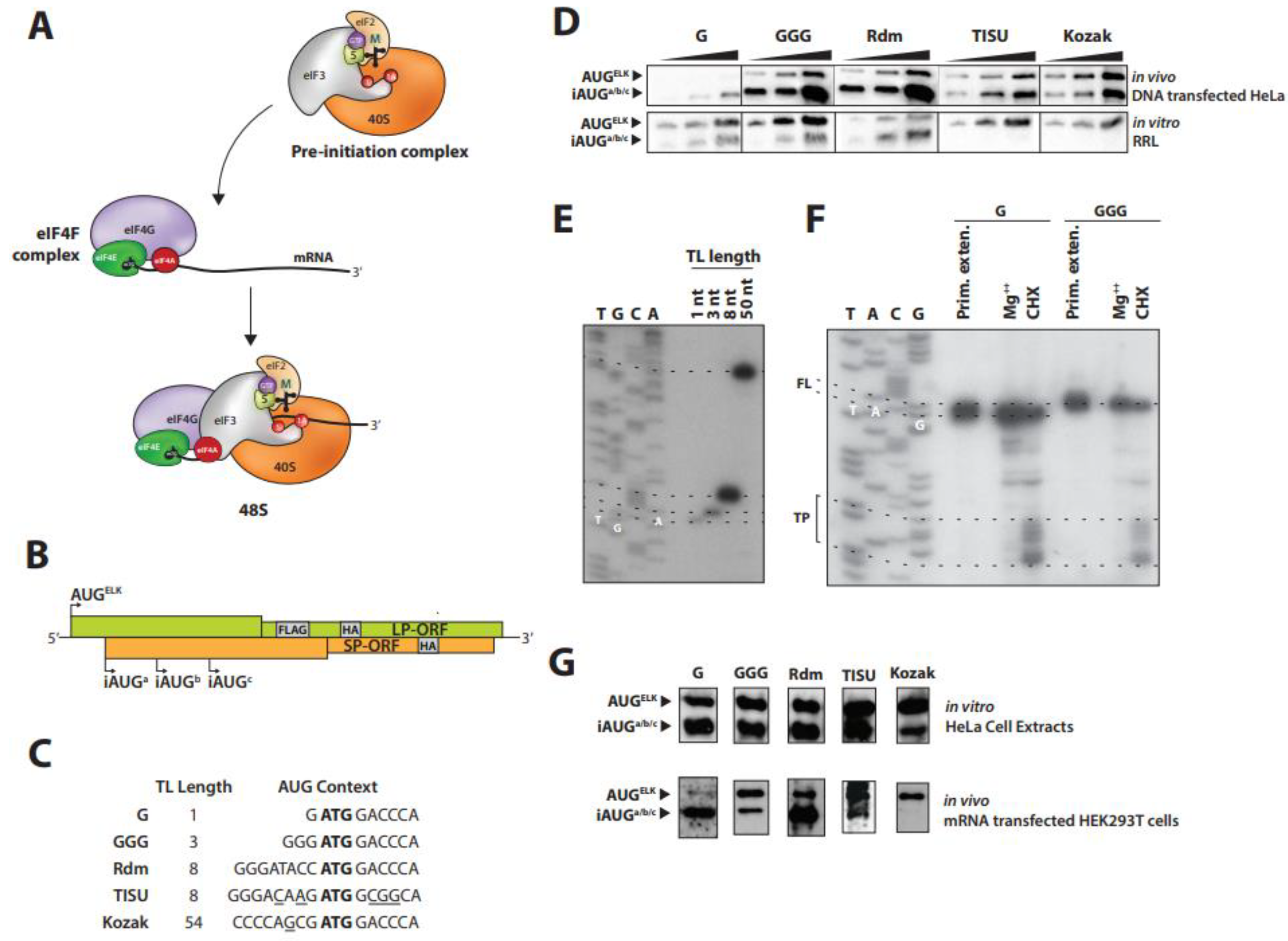 Ijms 23 13369 g001 Ijms 23 13369 g001