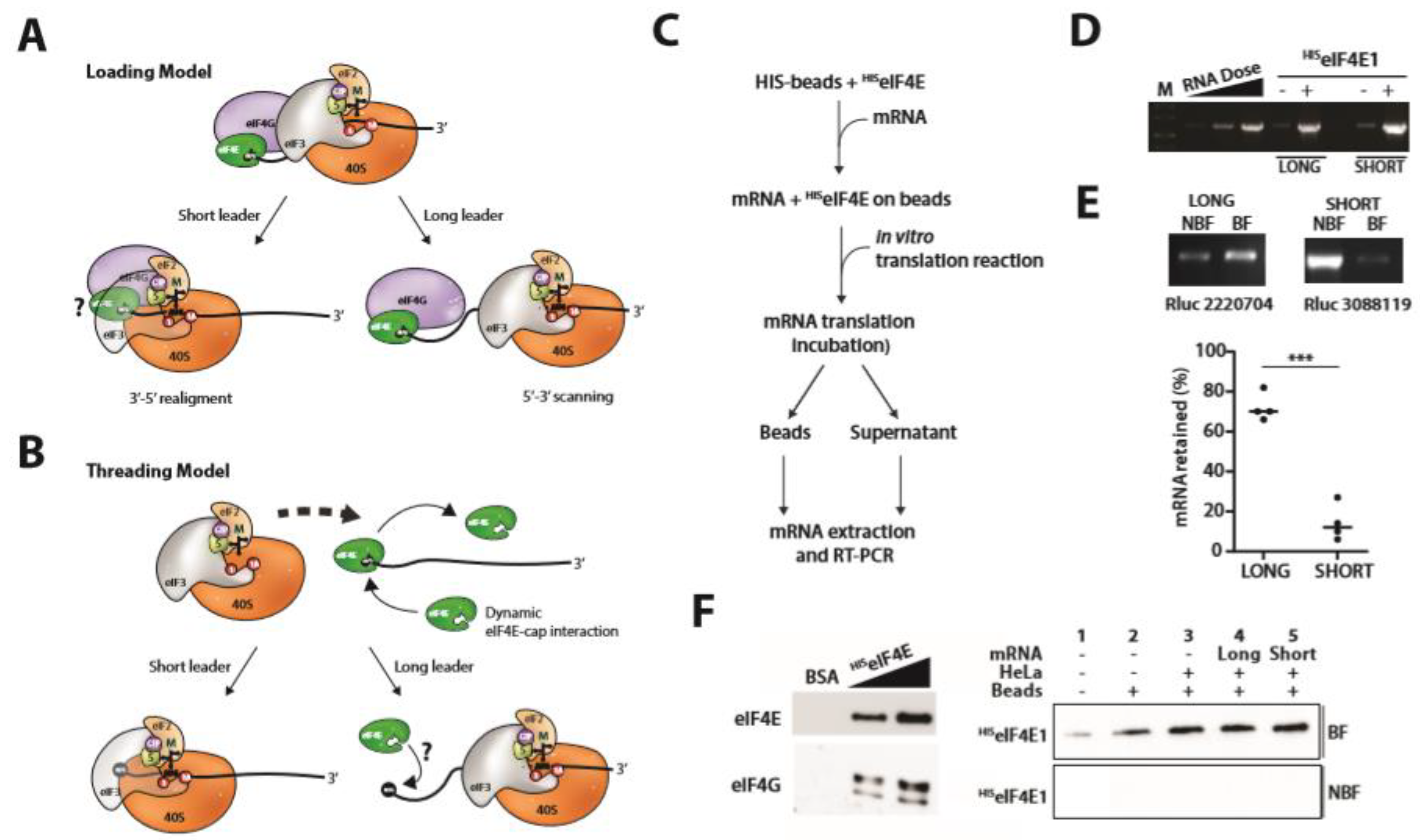 Ijms 23 13369 g002 Ijms 23 13369 g002
