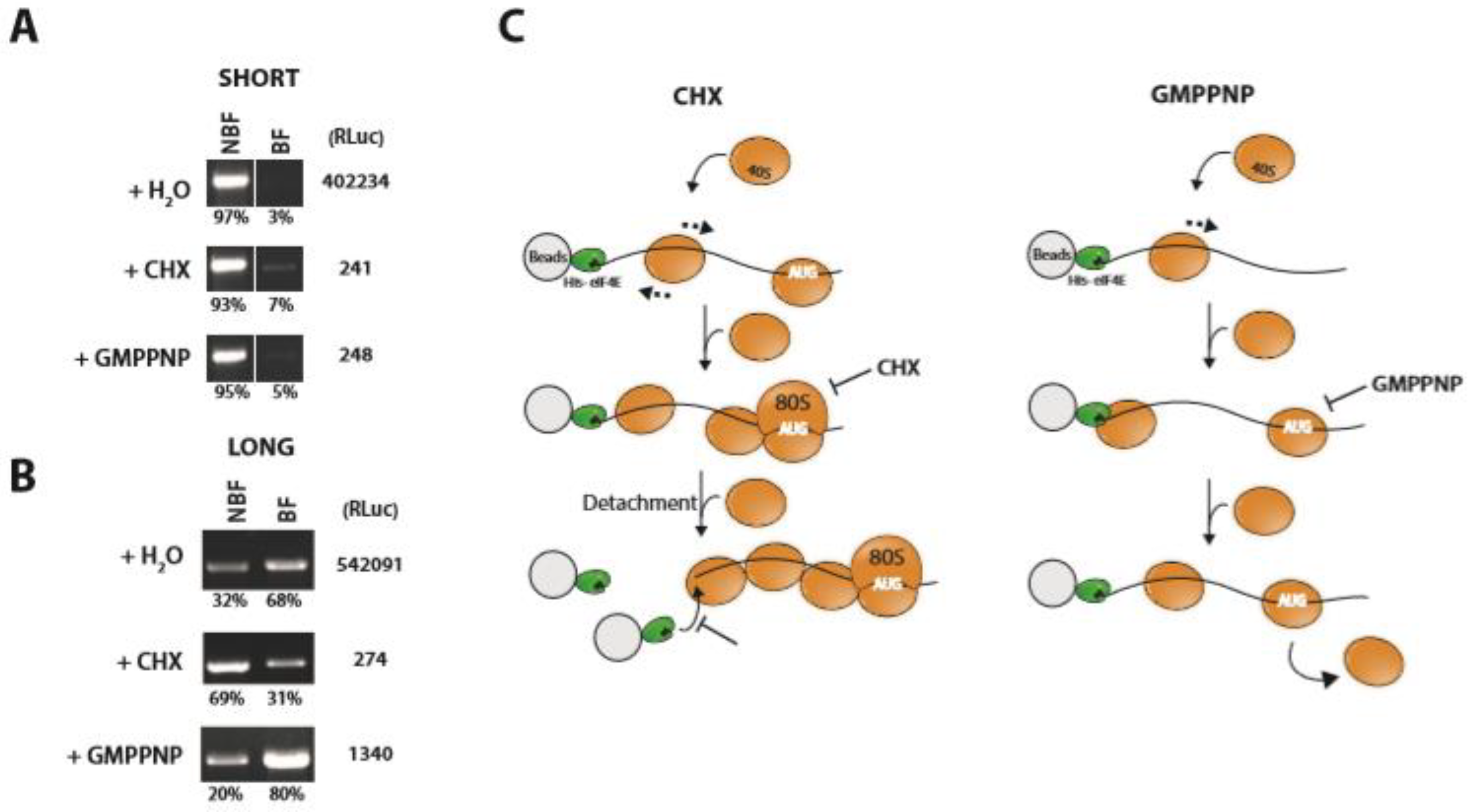 Ijms 23 13369 g003 Ijms 23 13369 g003