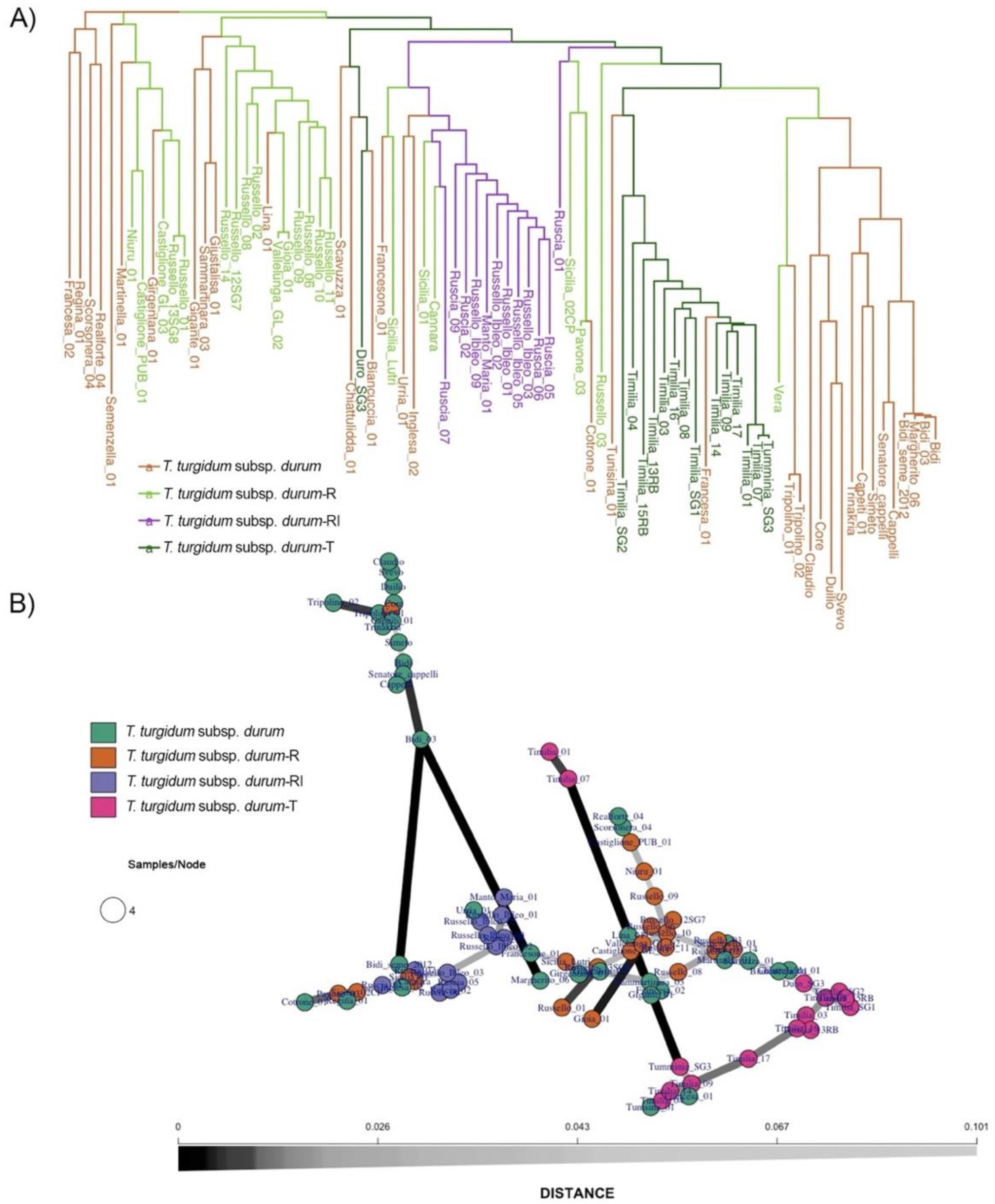 Ijms 23 13378 g005 Ijms 23 13378 g005