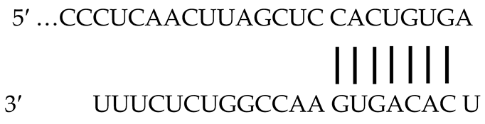 Ijms 23 13381 i001 Ijms 23 13381 i001