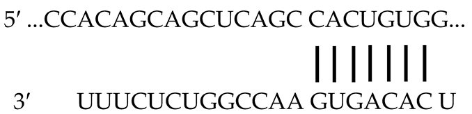 Ijms 23 13381 i002 Ijms 23 13381 i002