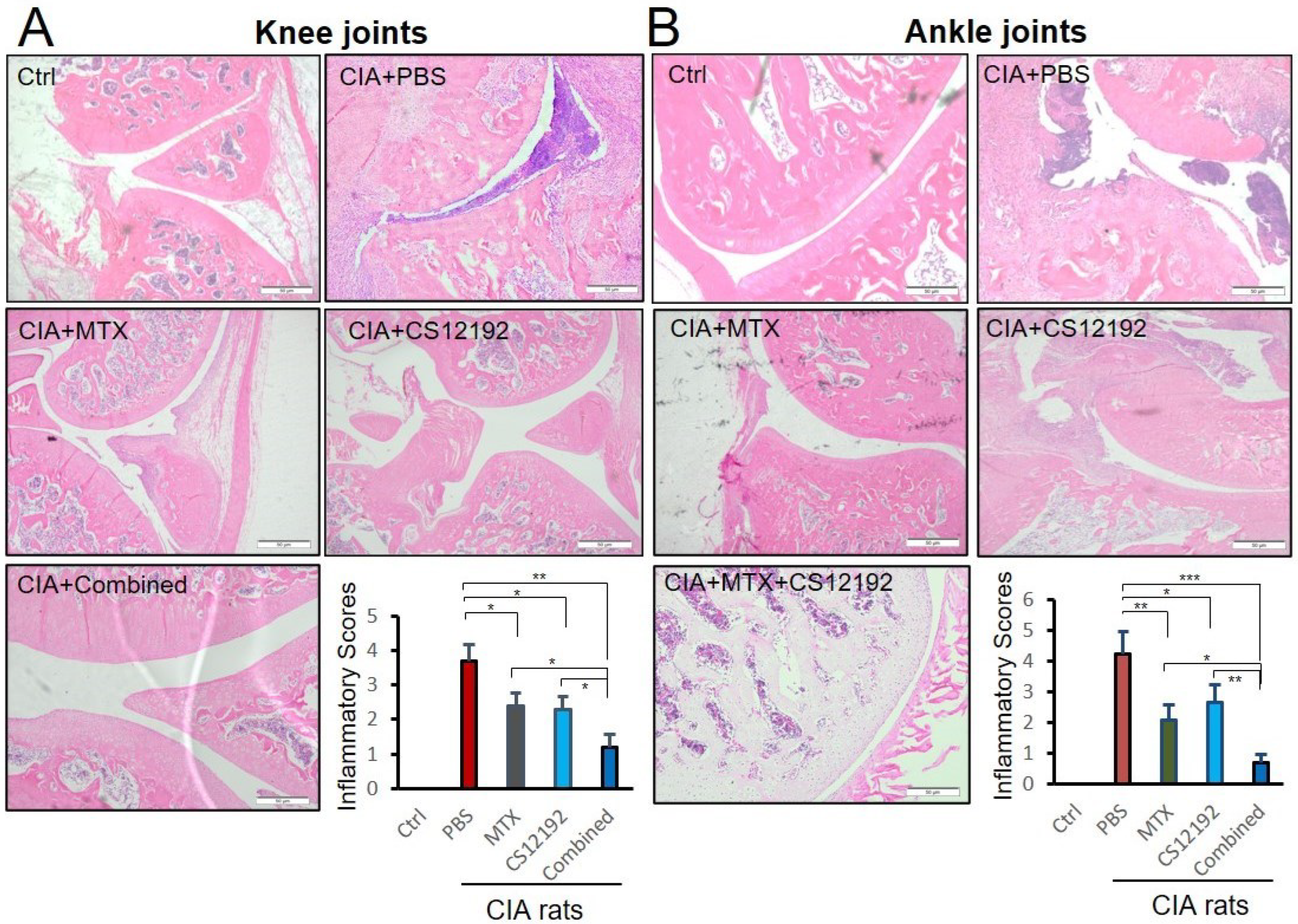 Ijms 23 13394 g002 Ijms 23 13394 g002